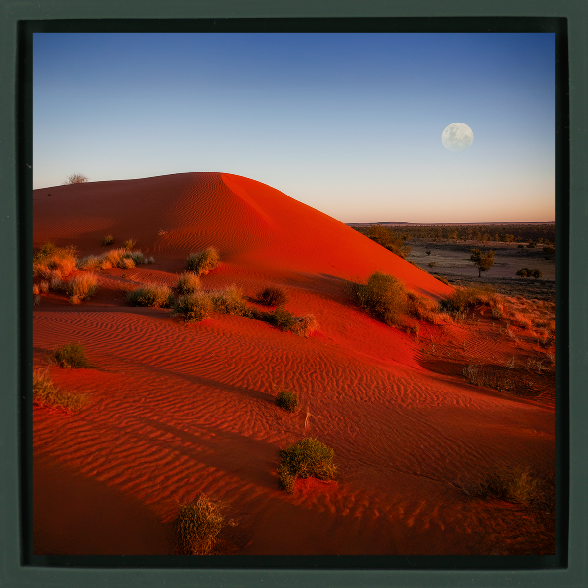 Andado Simpson Desert