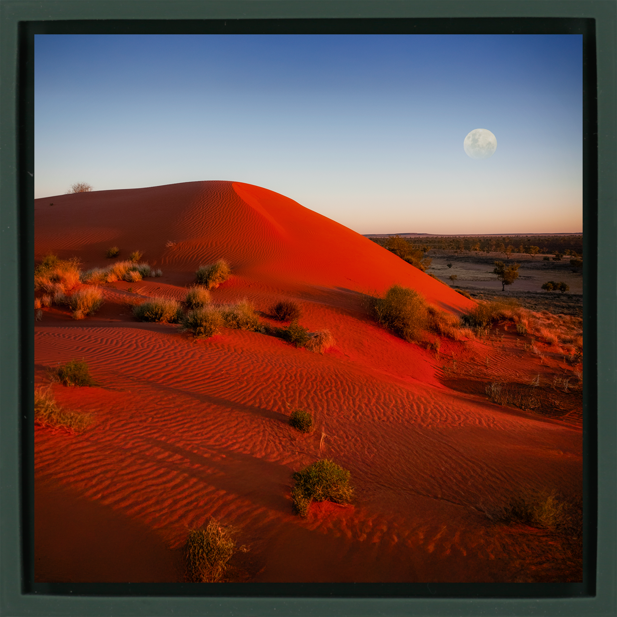 Andado Simpson Desert - Donkergroene Wrapp