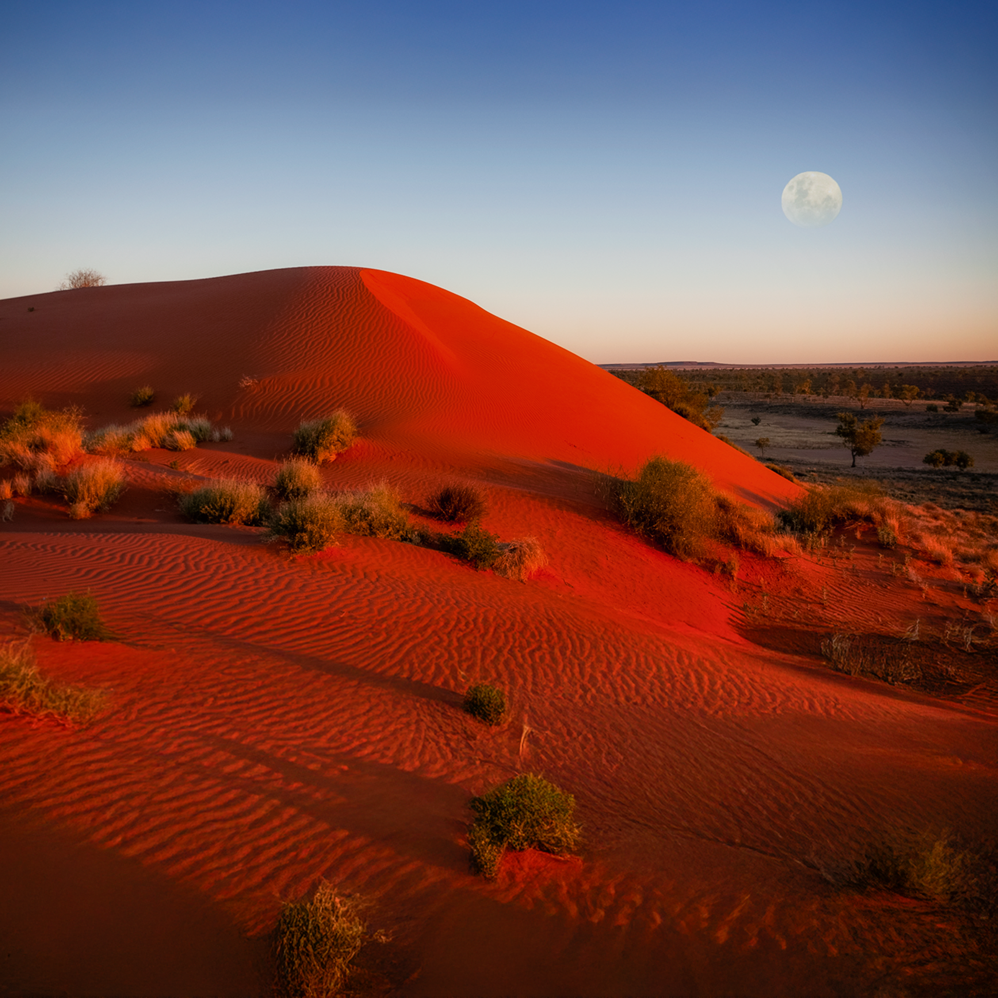 Andado Simpson Desert- Collection: Australia