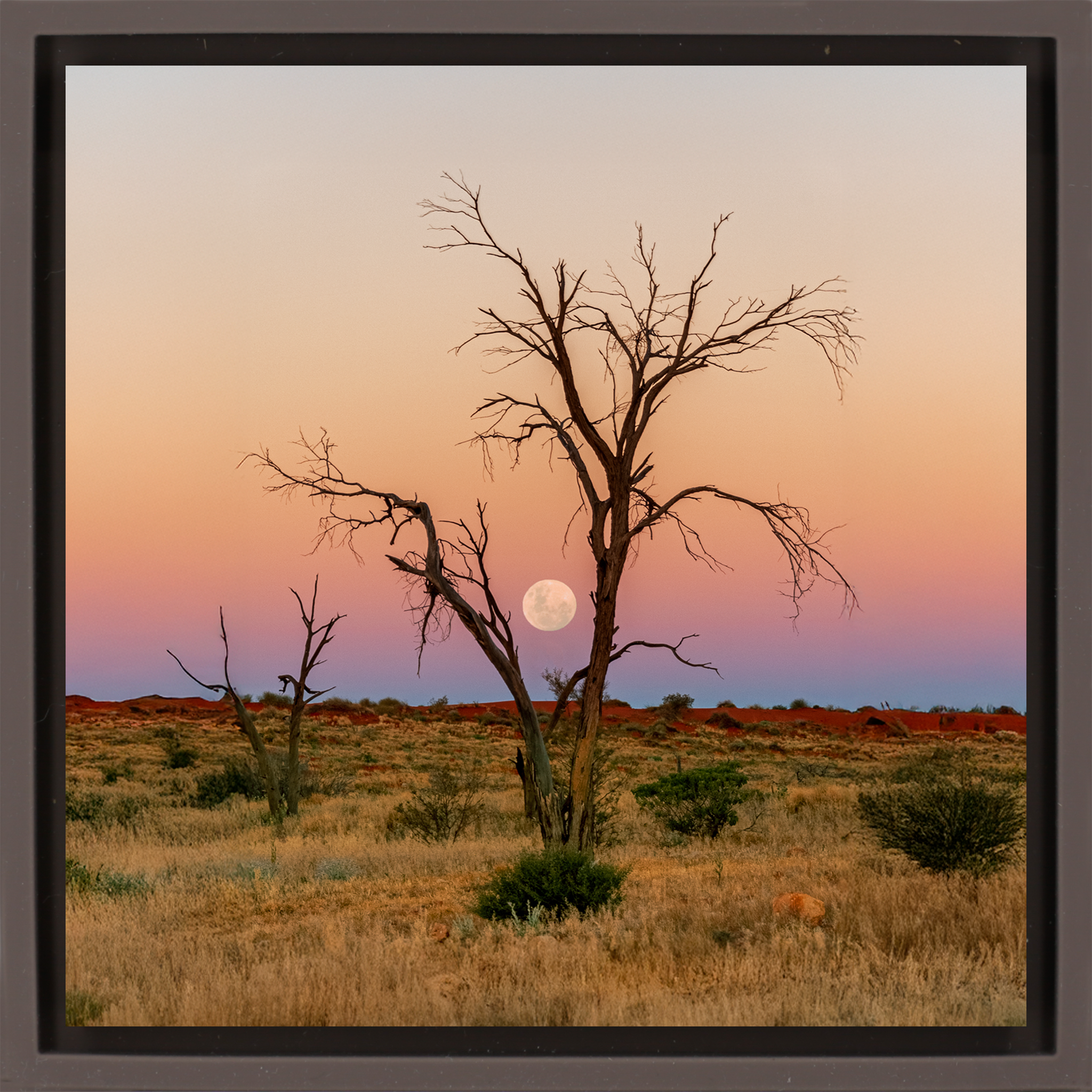 Simpson Desert - Bruine Wrapp