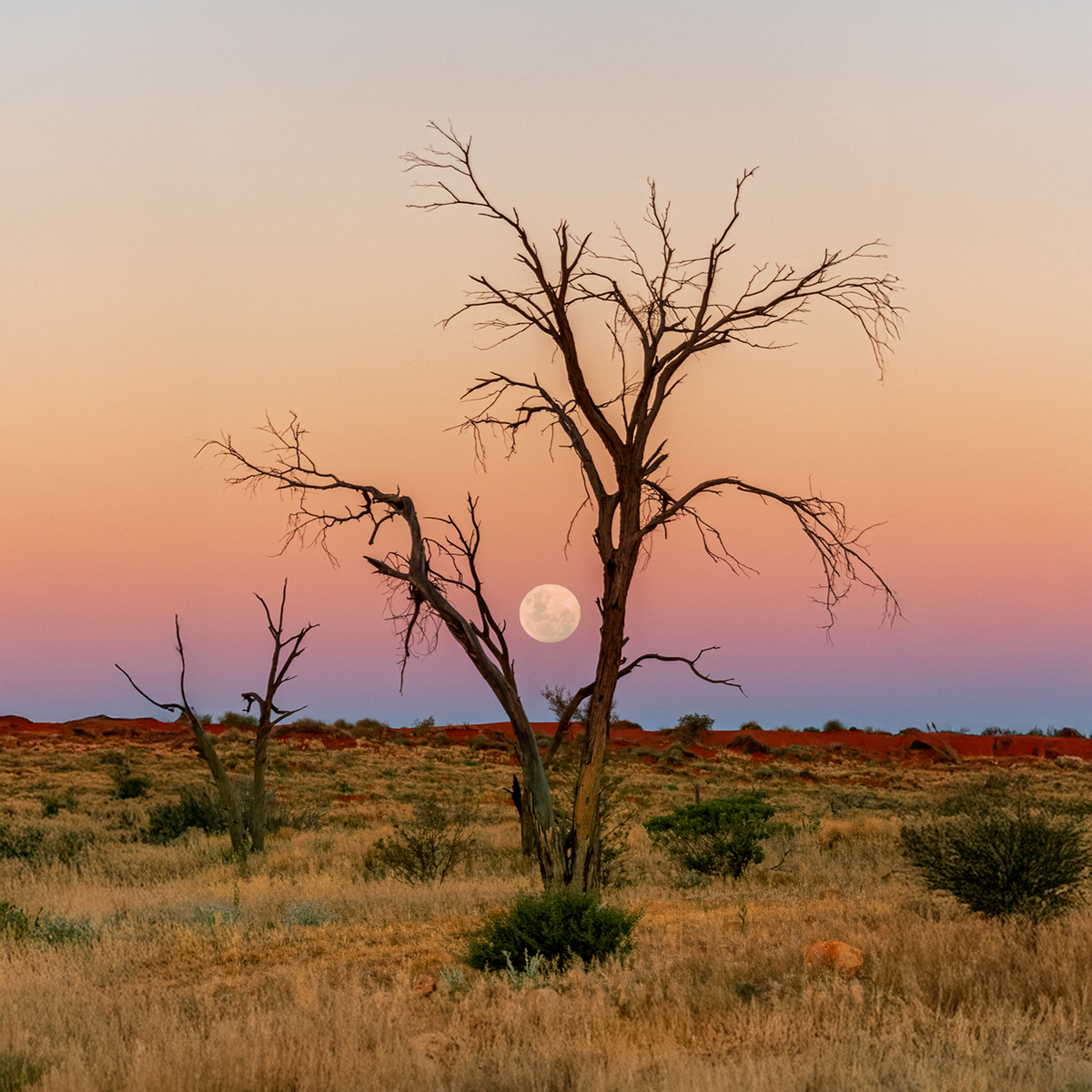 Simpson Desert - Kollektion: Australien