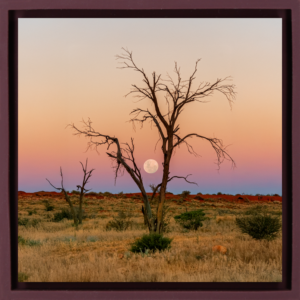 Simpson Desert