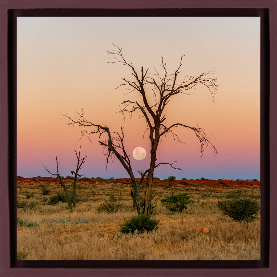 Simpson Desert - Lila Wrapp