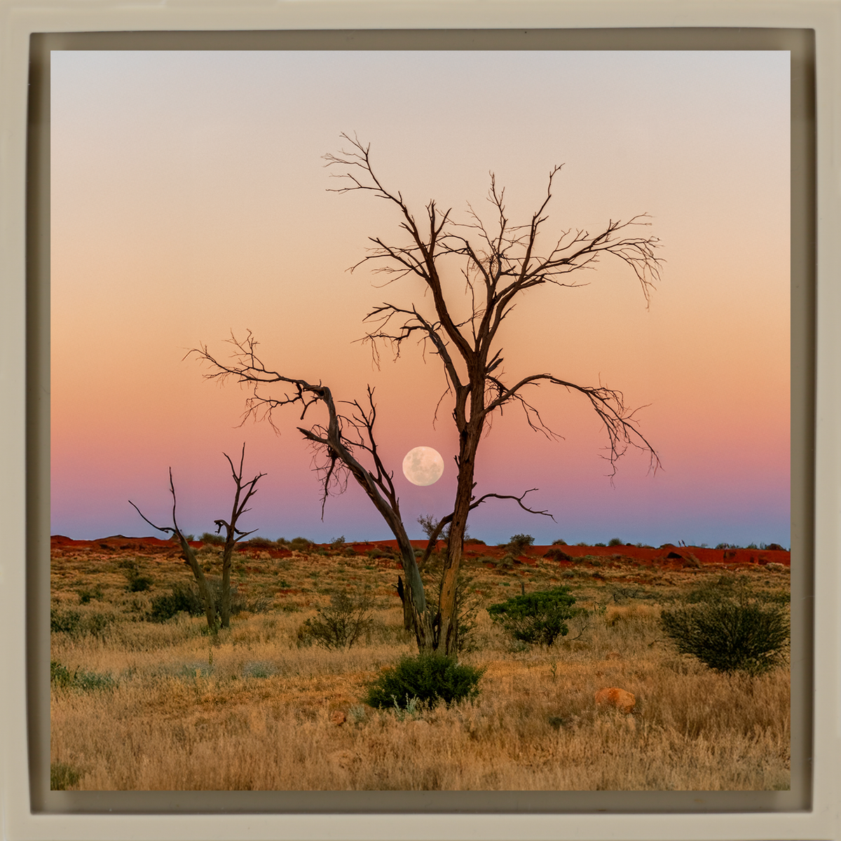 Simpson Desert