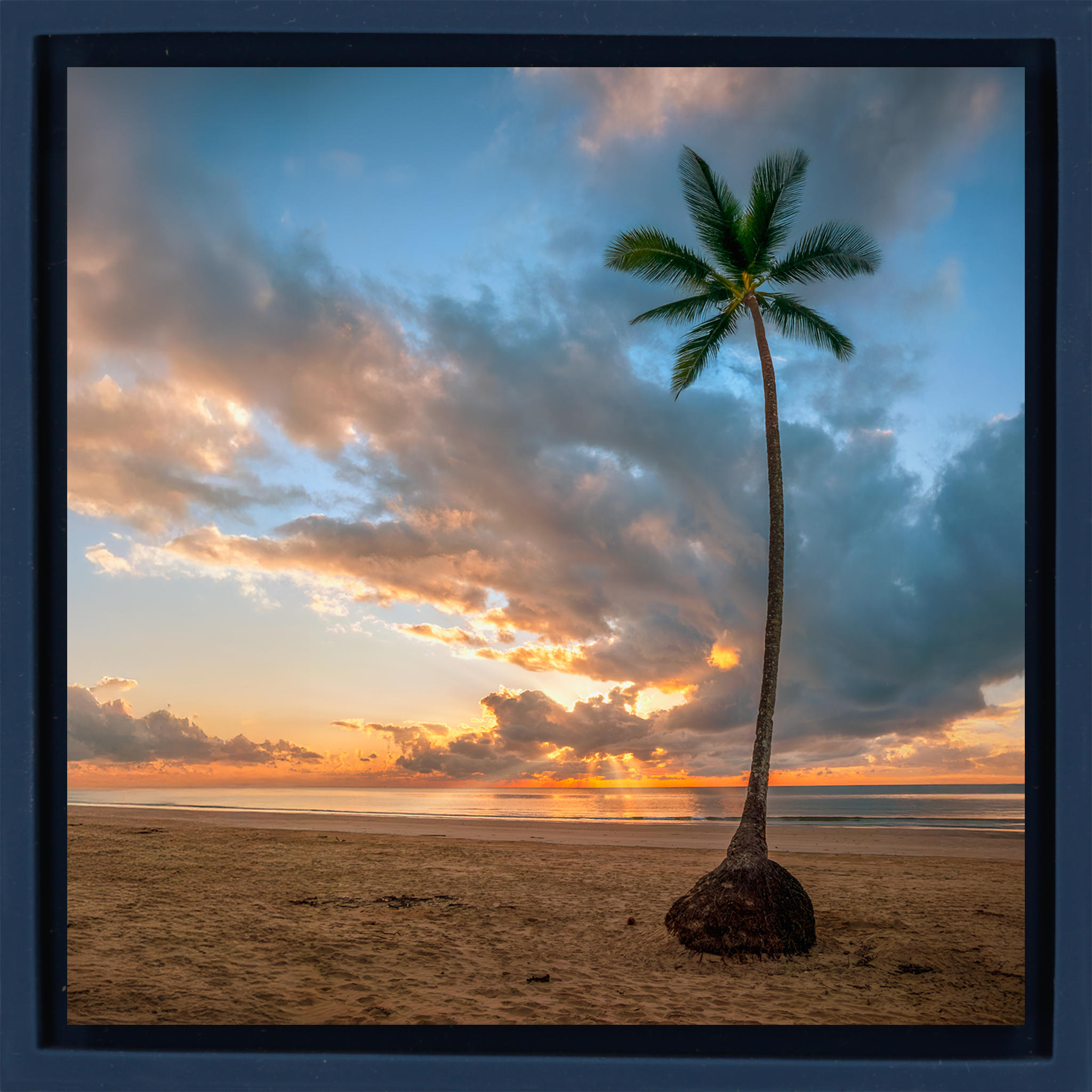 Mission Beach- Dark Blue Wrapp