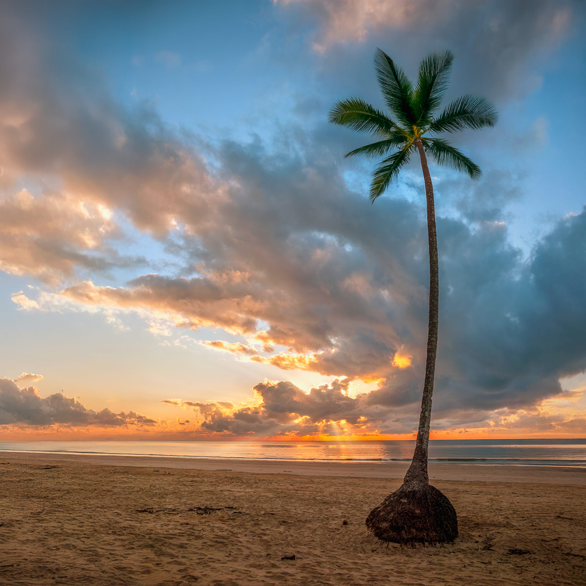 Mission Beach- Collection: Australia