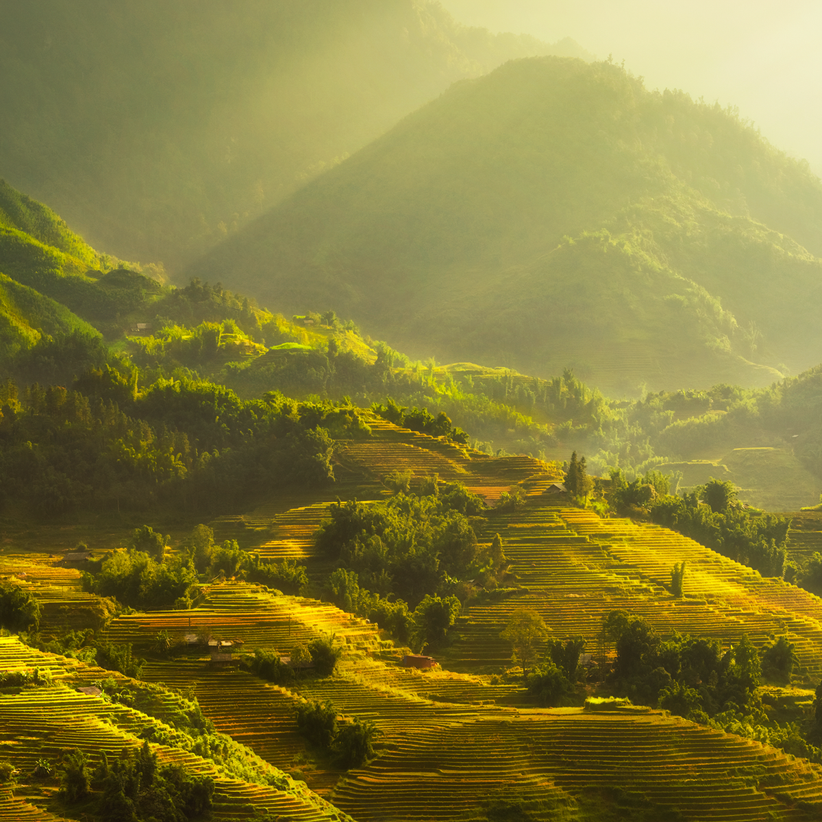 Sapa - Kollektion: Vietnam