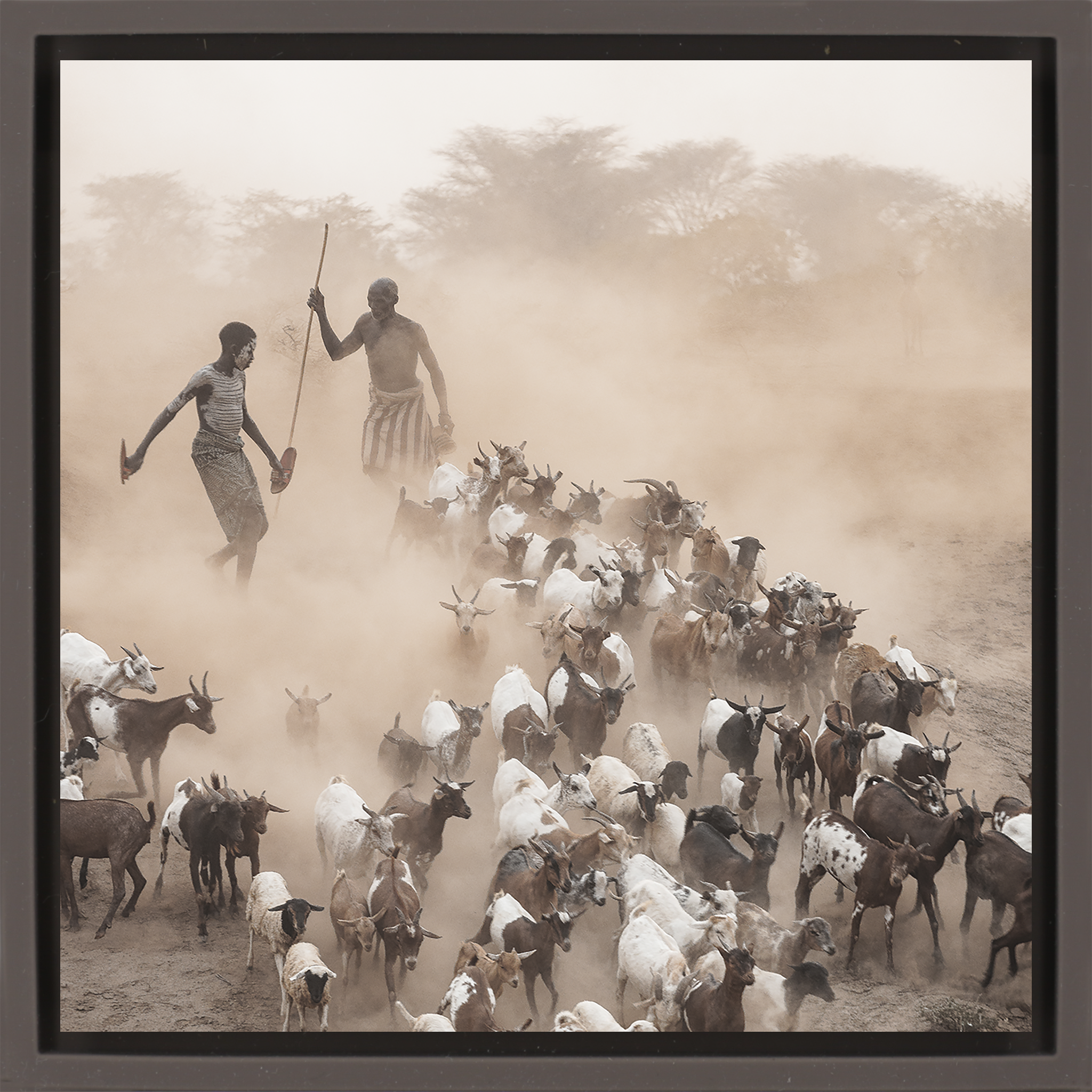Dust and Goats Omo Valley- Brown Wrapp