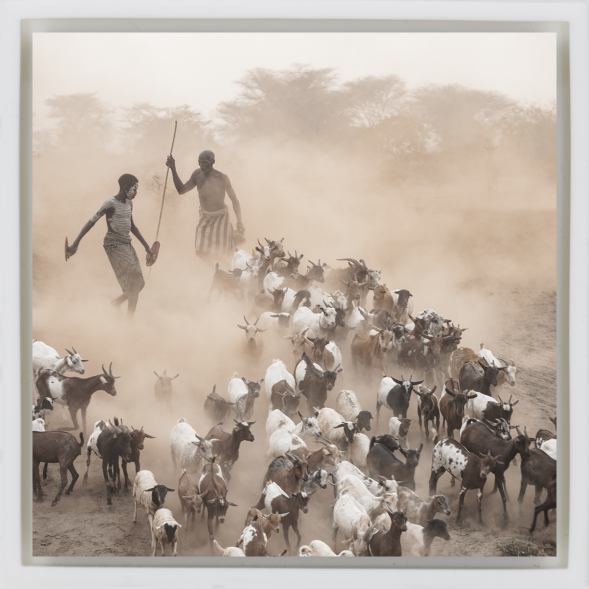 Dust and Goats Omo Valley- White Wrapp