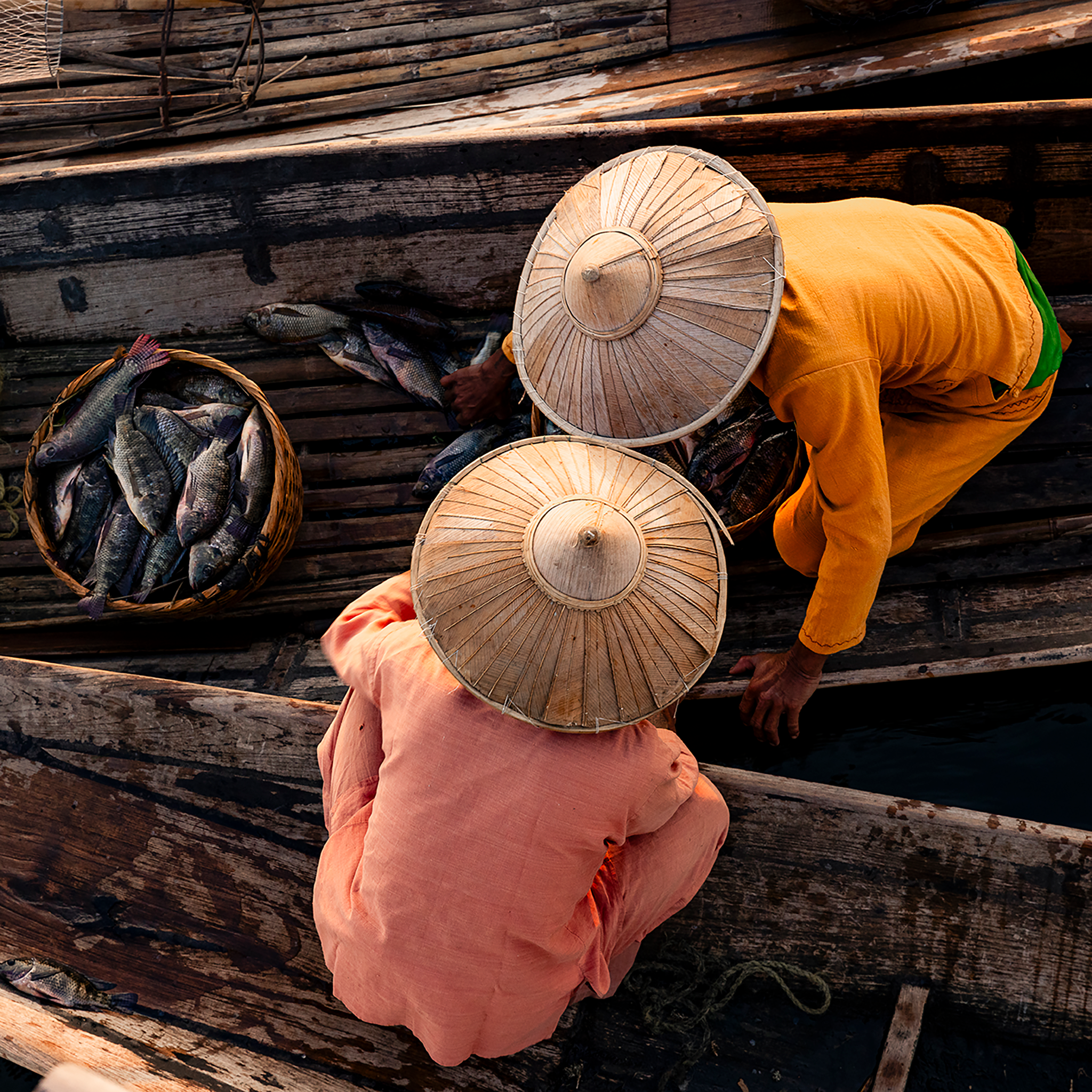 The Catch Inle Lake- Collection: Myanmar