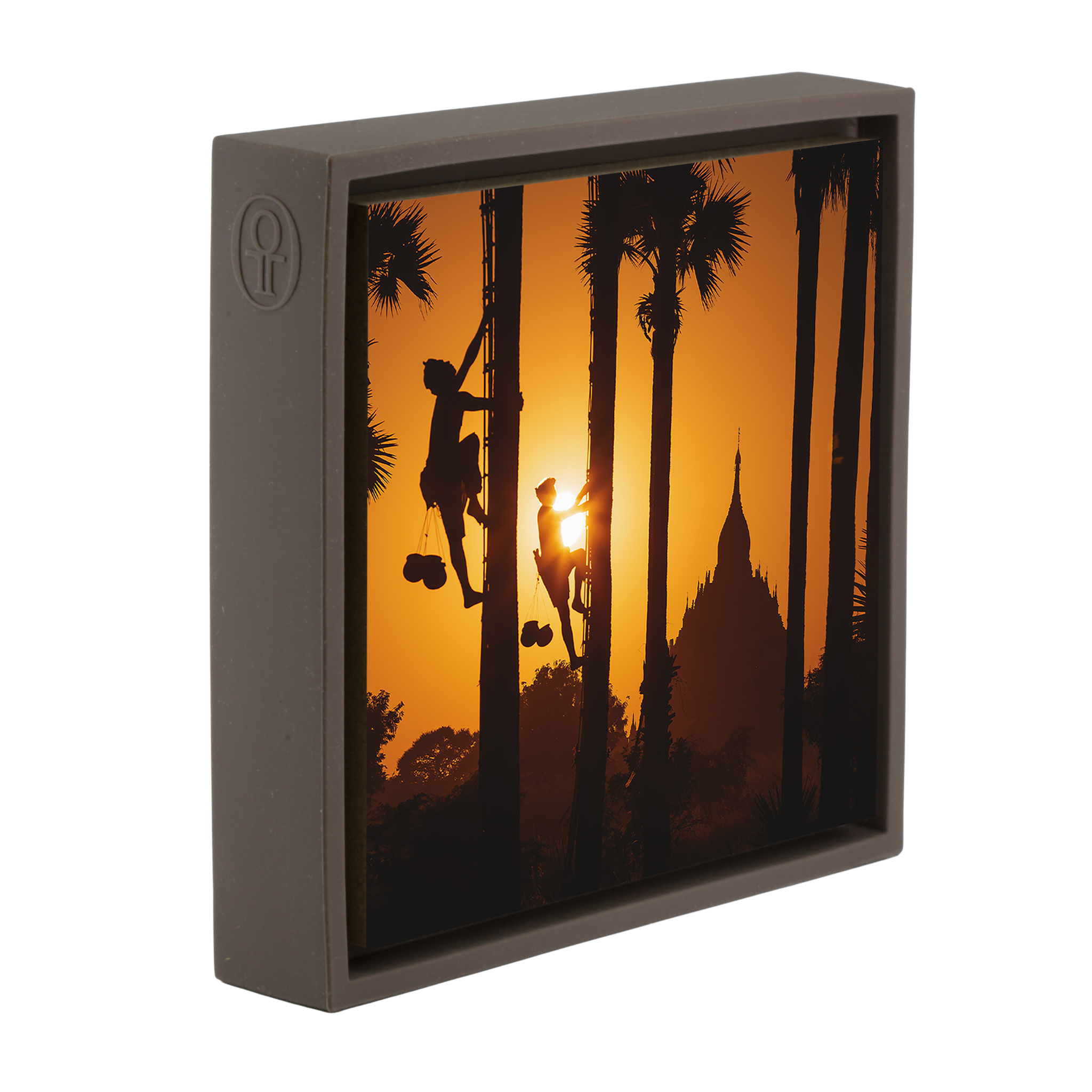 Palm Trappers Bagam- Brown Wrapp
