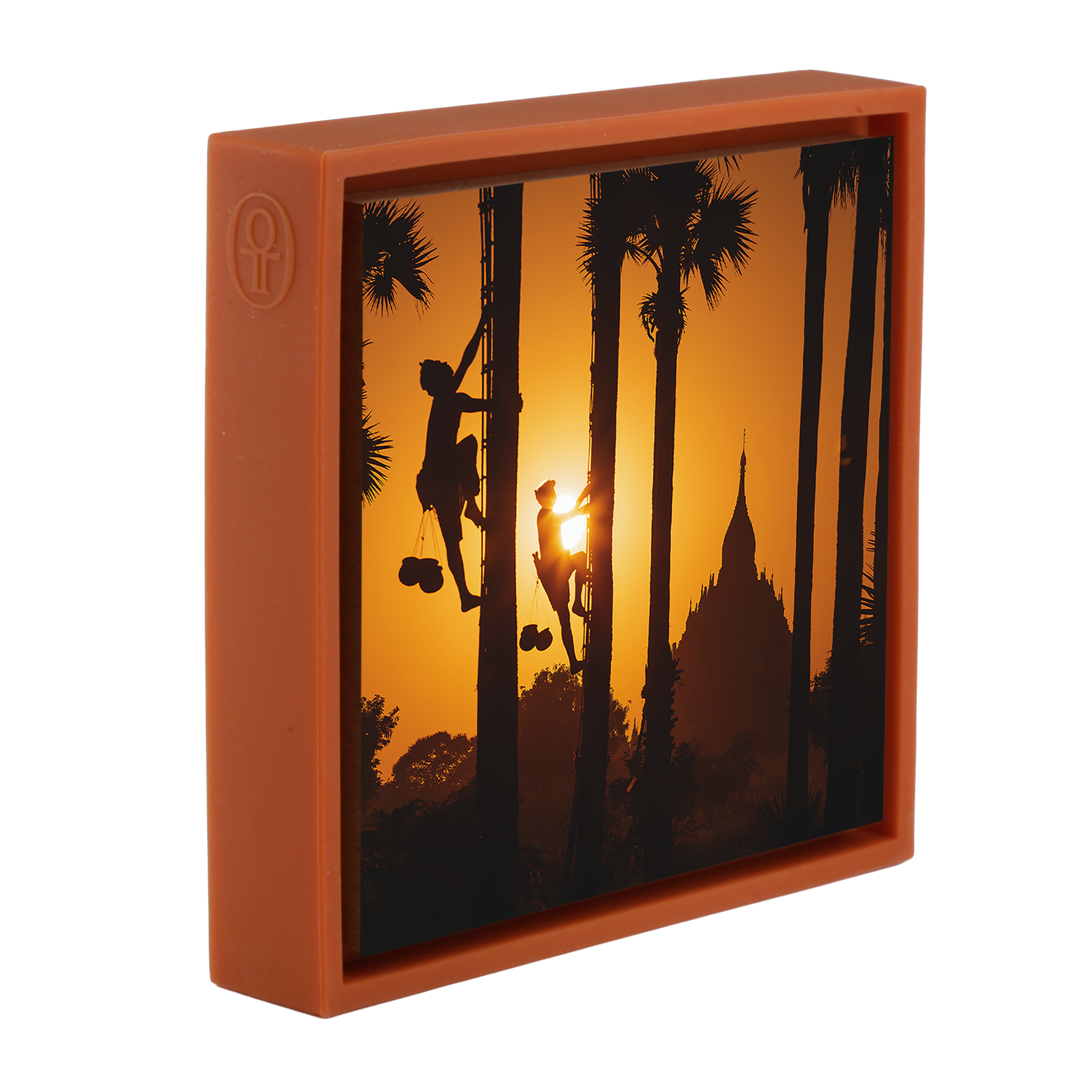 Palm Trappers Bagam- Orange Wrapp