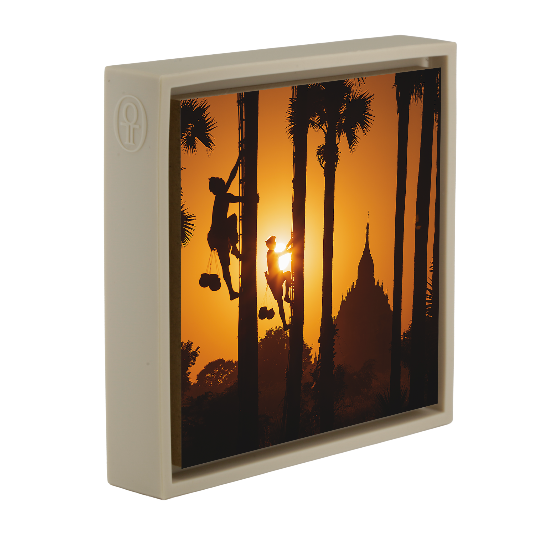 Palm Trappers Bagam- Sand Wrapp