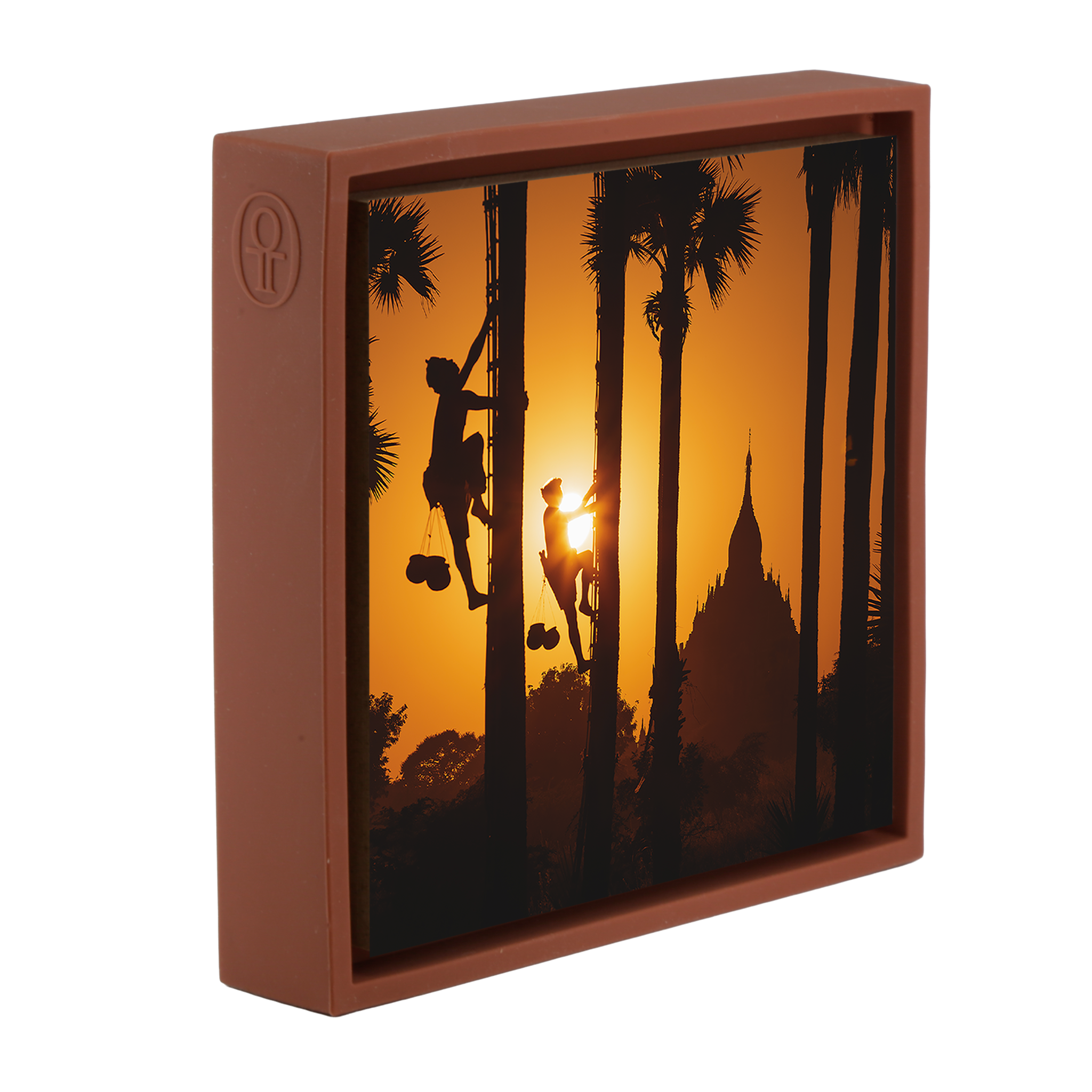 Palm Trappers Bagam- Terra Wrapp