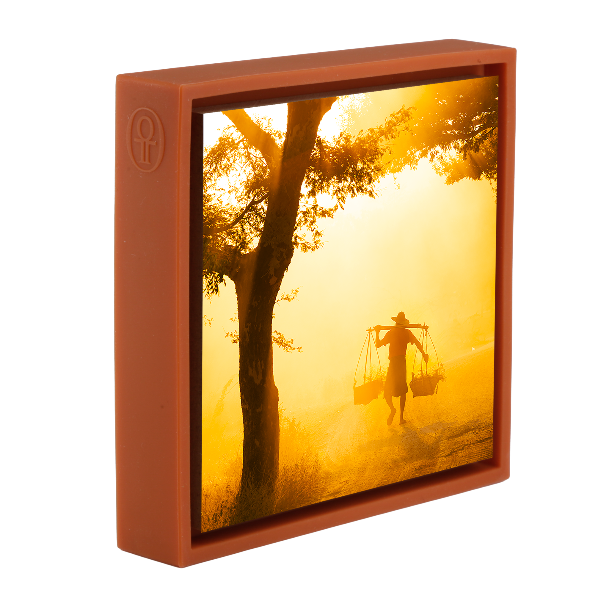 Carrier Bagam- Orange Wrapp