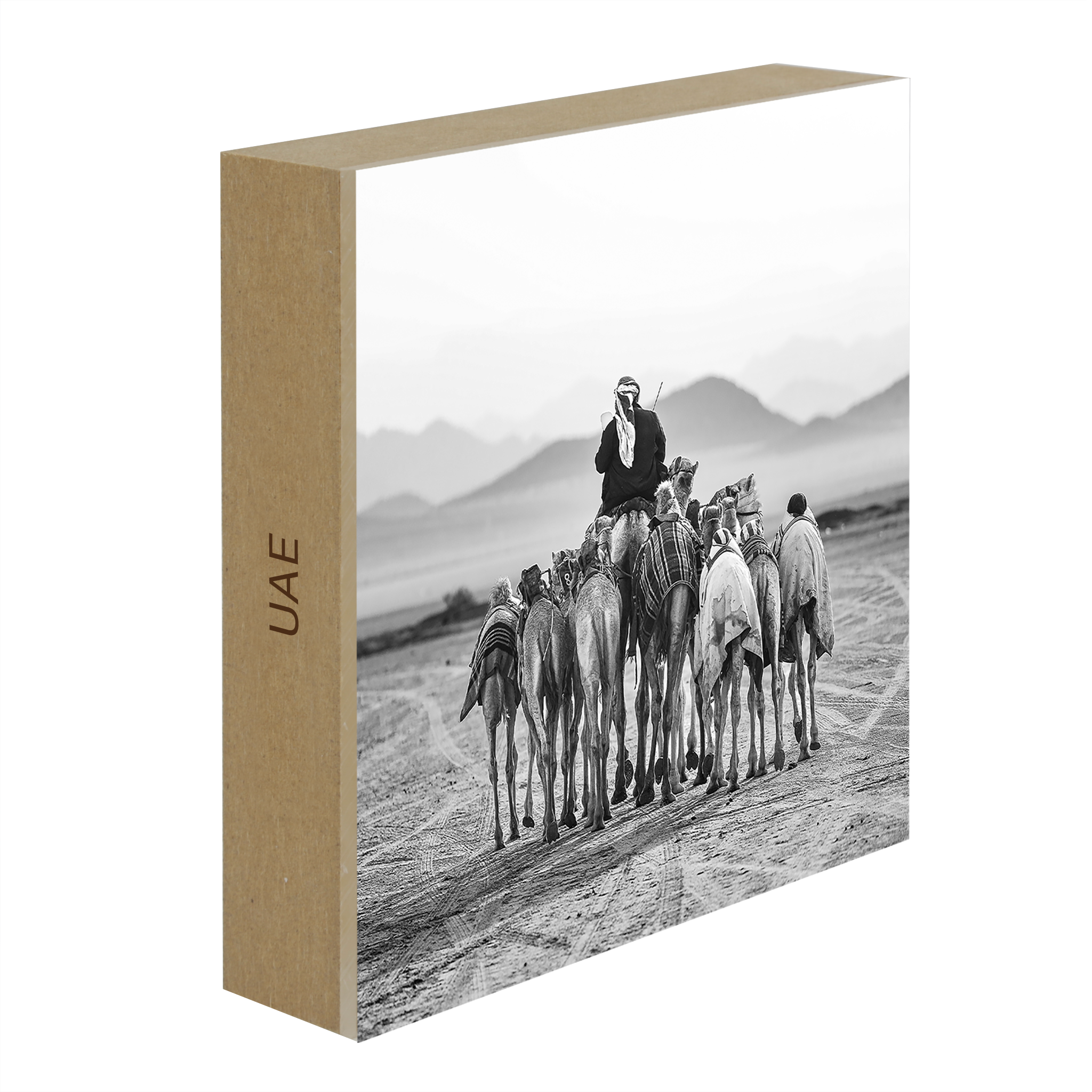 The Camel Driver- Collection: Saudi Arabia