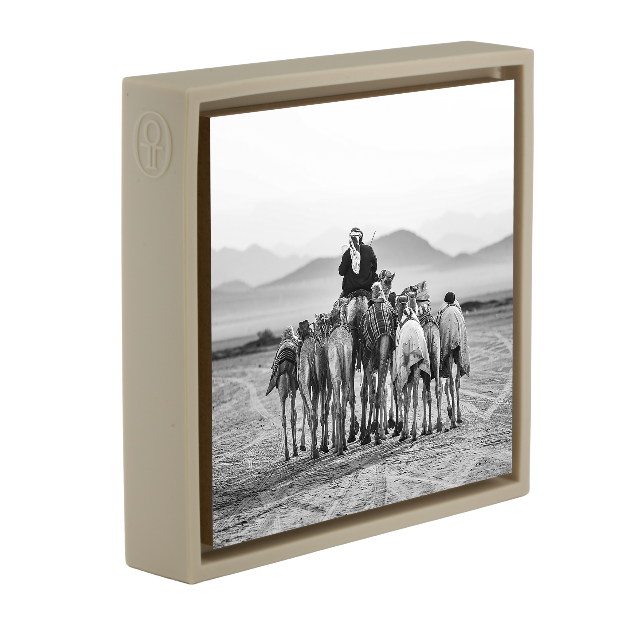 The Camel Driver- Sand Wrapp