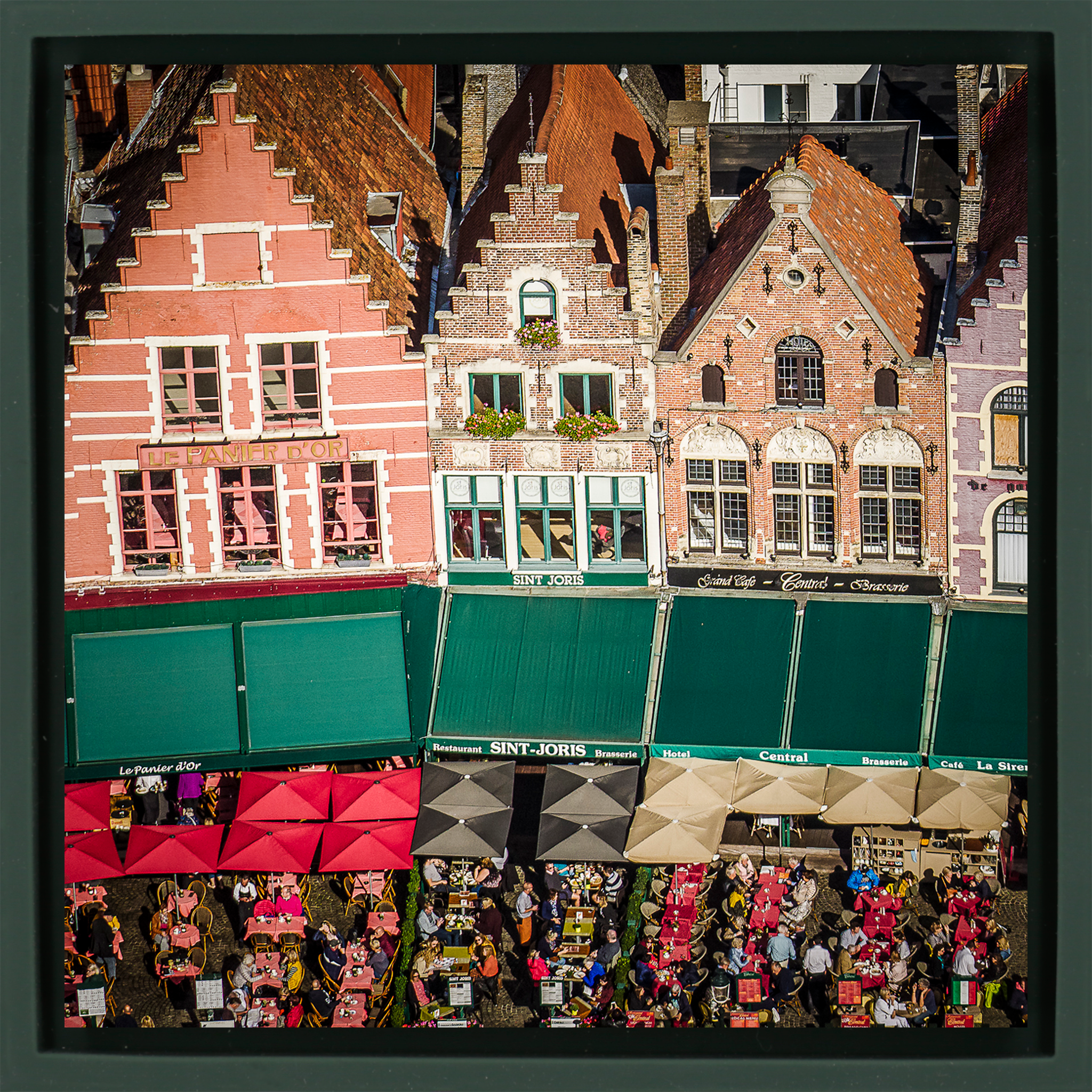Sunny Day in Bruges - Donkergroene Wrapp