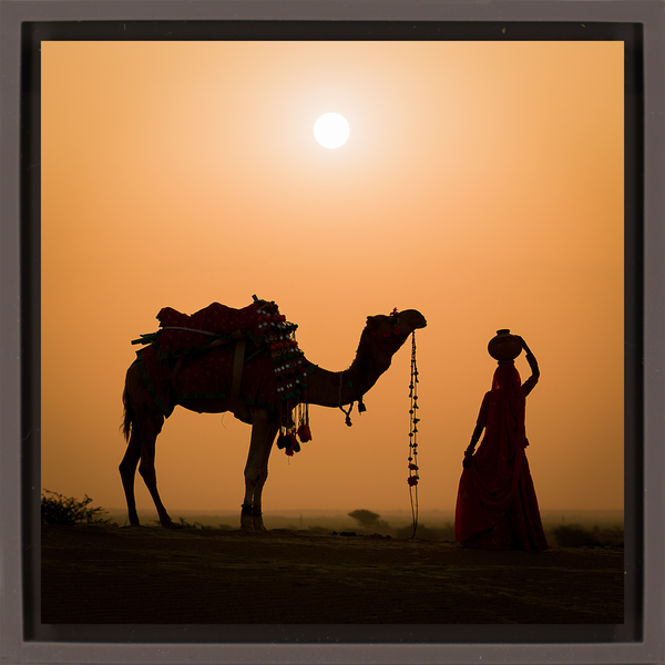 Snake Charmer - Braune Wrapp