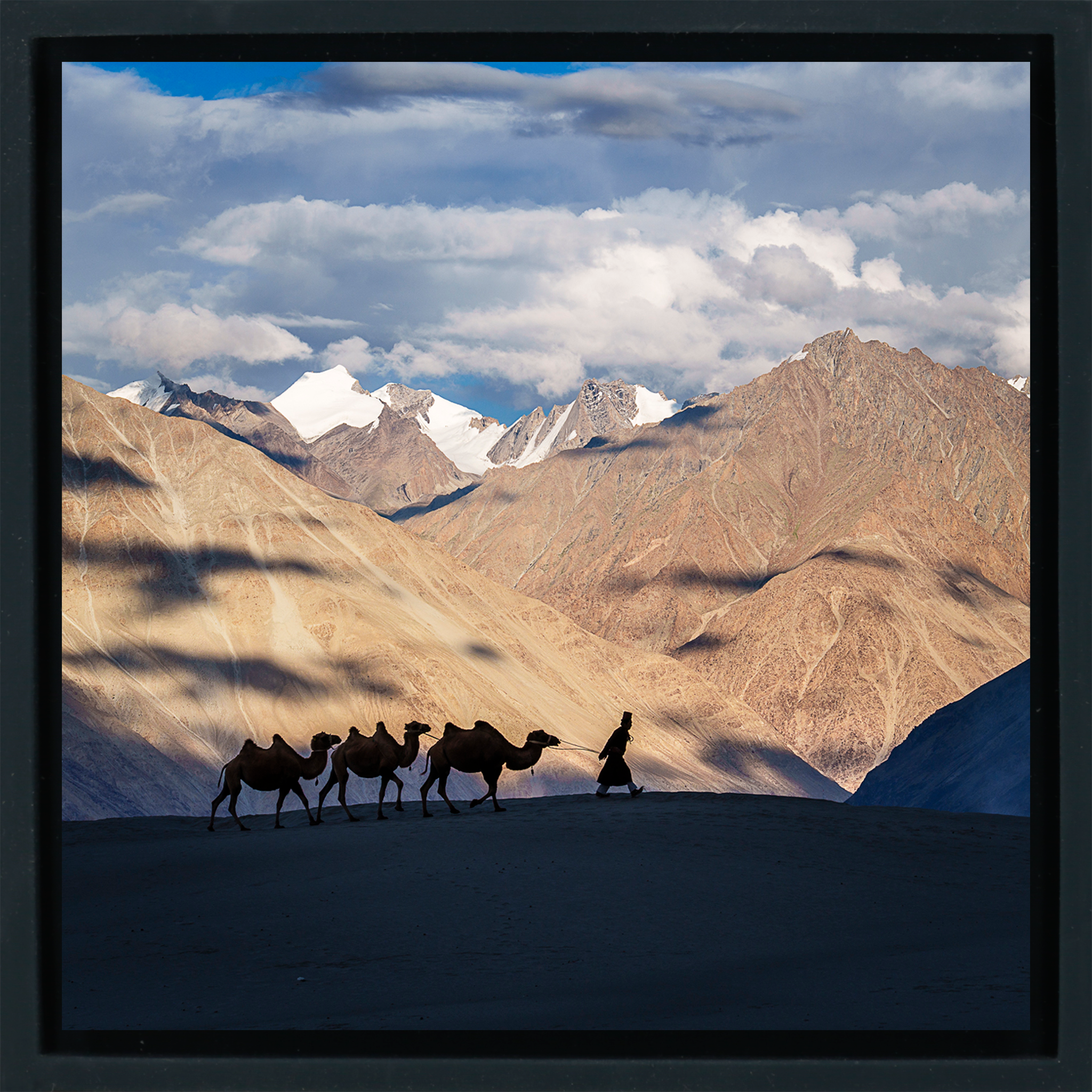 Numbra Valley Leh Ladakh - Zwarte Wrapp