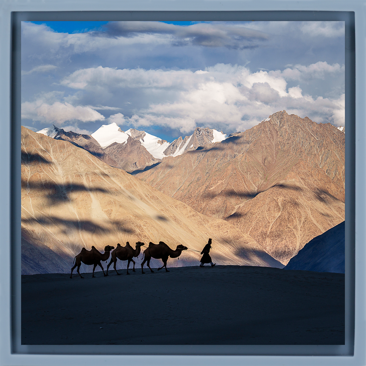 Numbra Valley Leh Ladakh