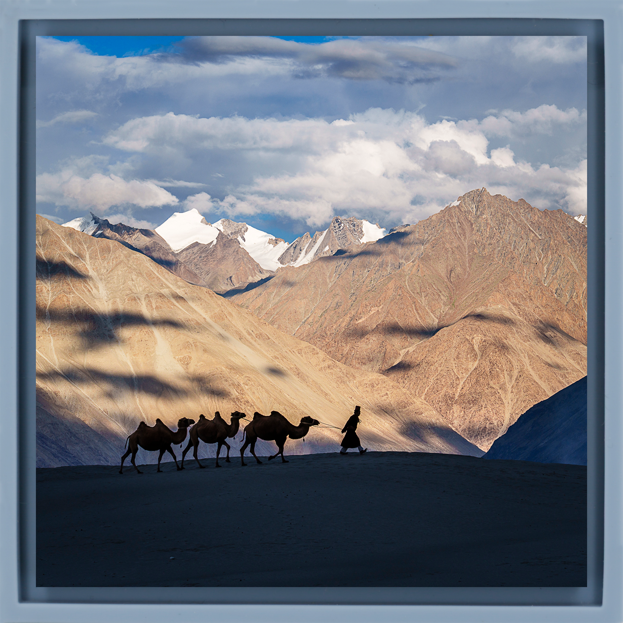Numbra Valley Leh Ladakh - Lichtblauwe Wrapp