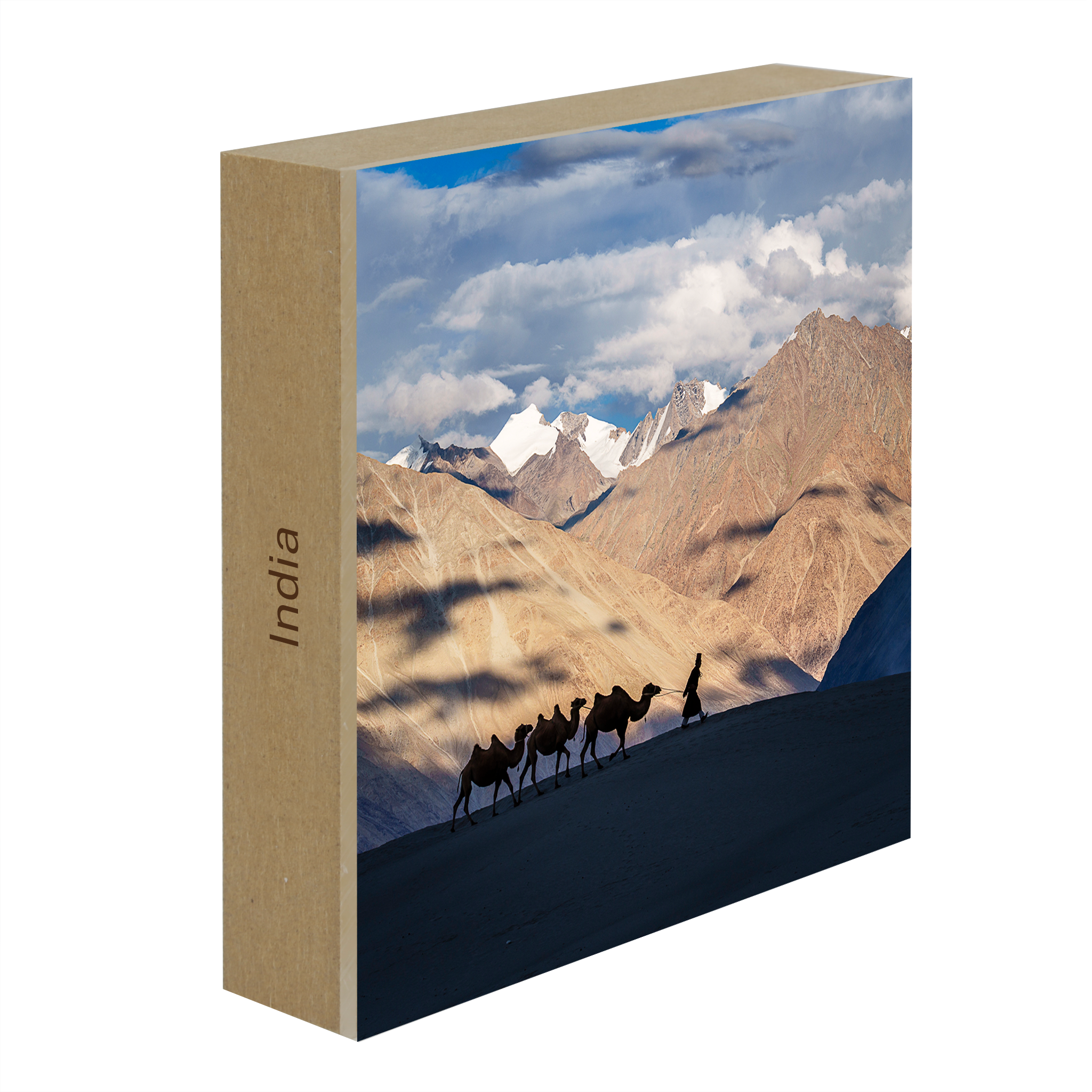Numbra Valley Leh Ladakh- Collectie: India