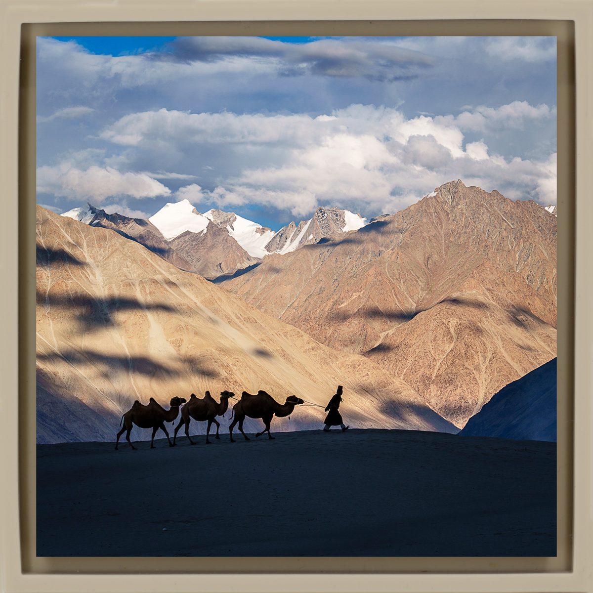 Numbra Valley Leh Ladakh