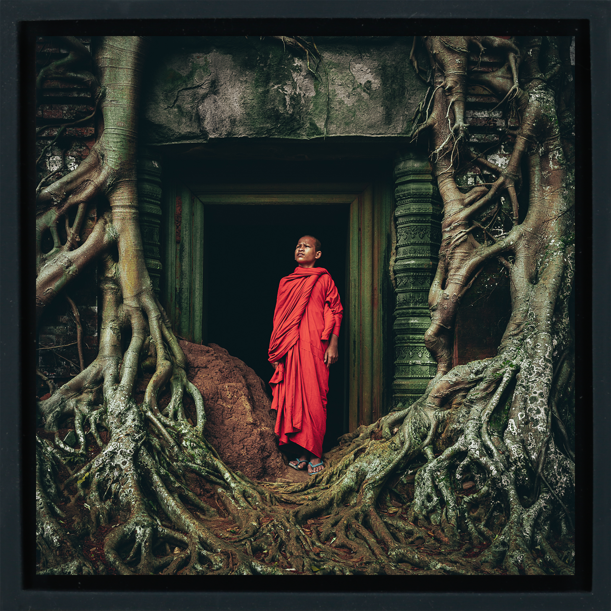 Young Monk In Contemplation - Zwarte Wrapp