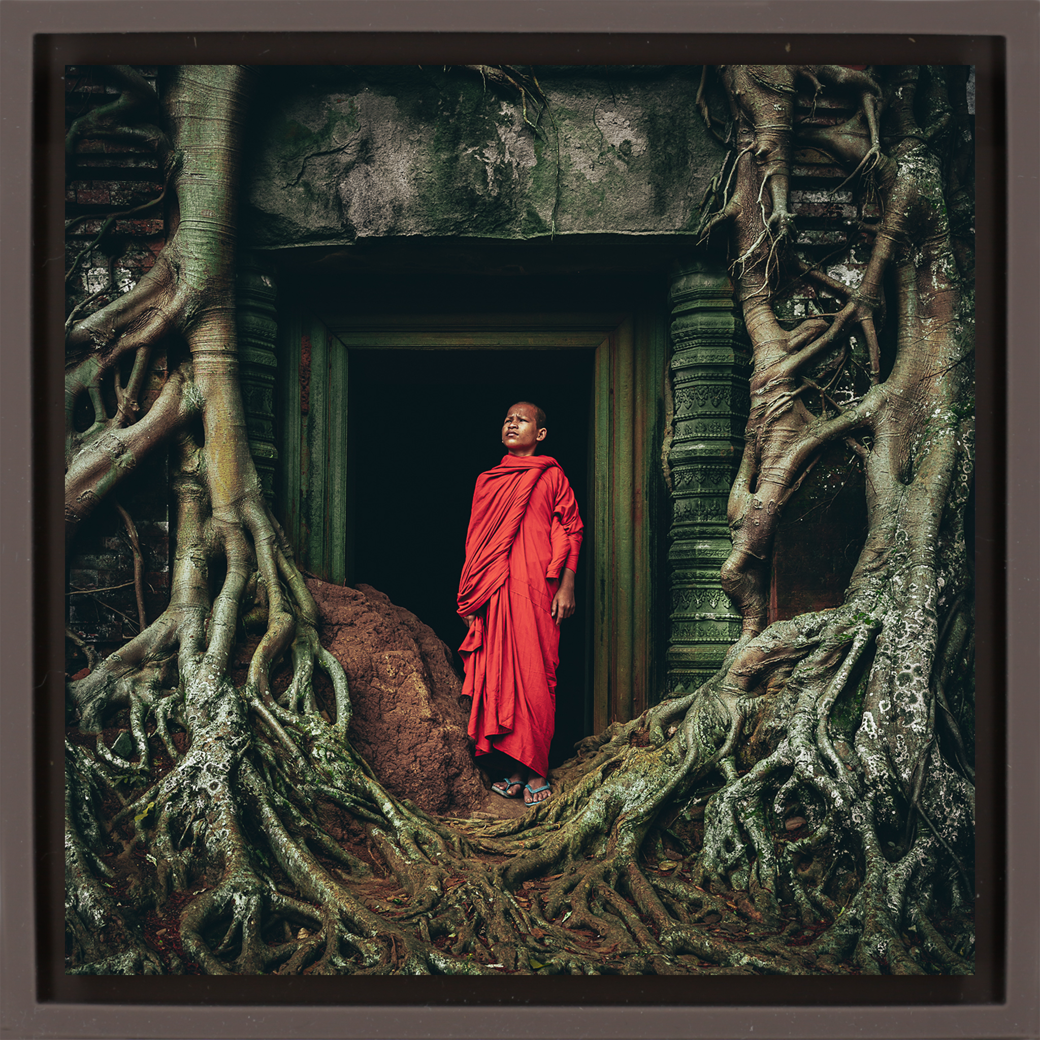 Young Monk In Contemplation - Bruine Wrapp