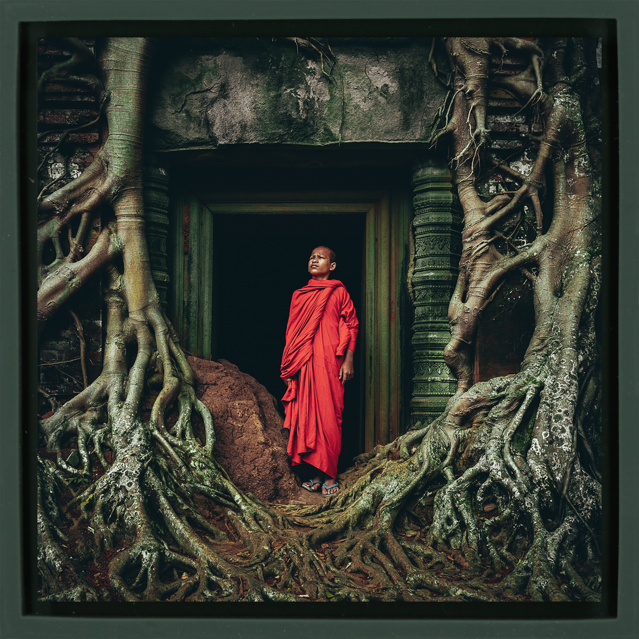 Young Monk In Contemplation - Donkergroene Wrapp
