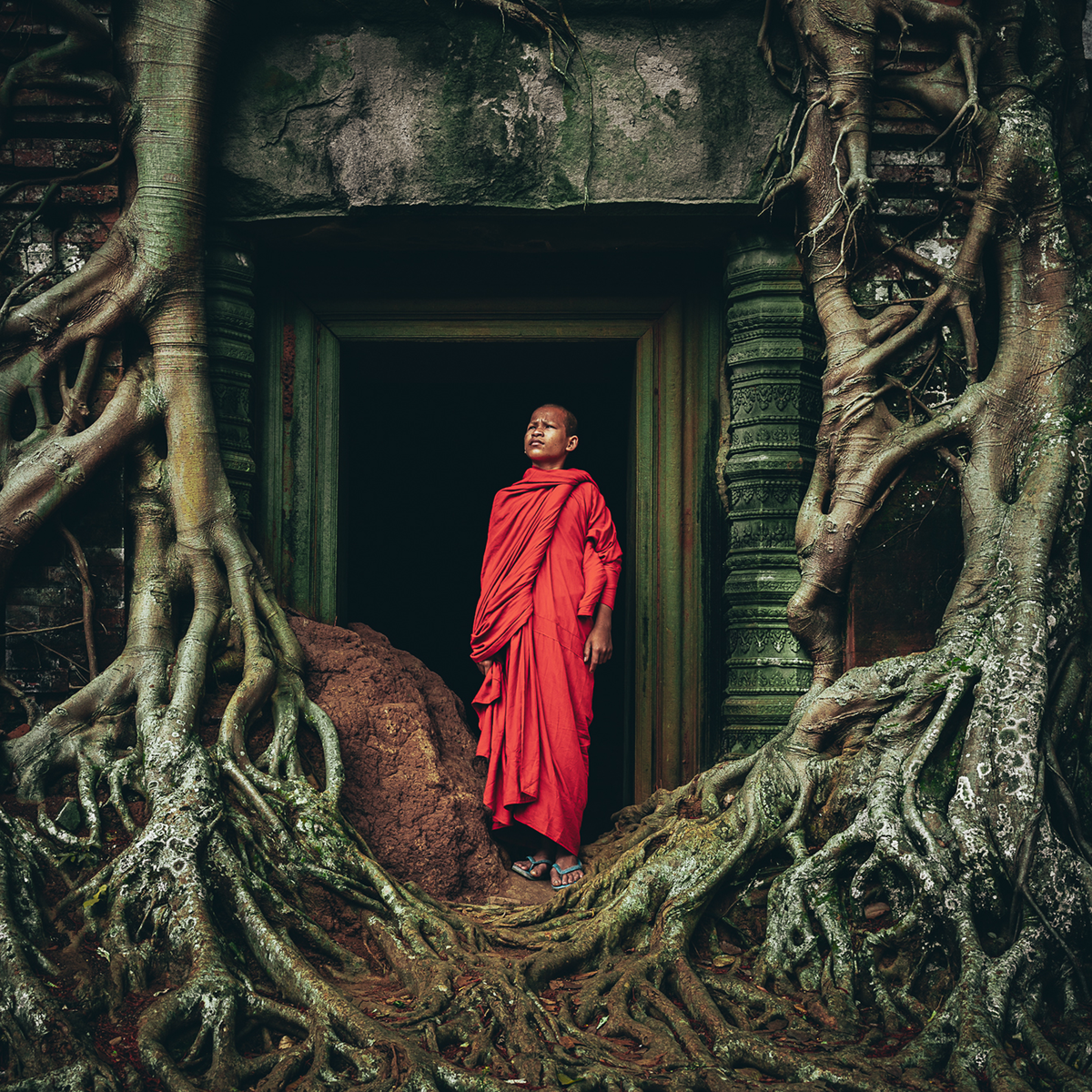 Young Monk In Contemplation