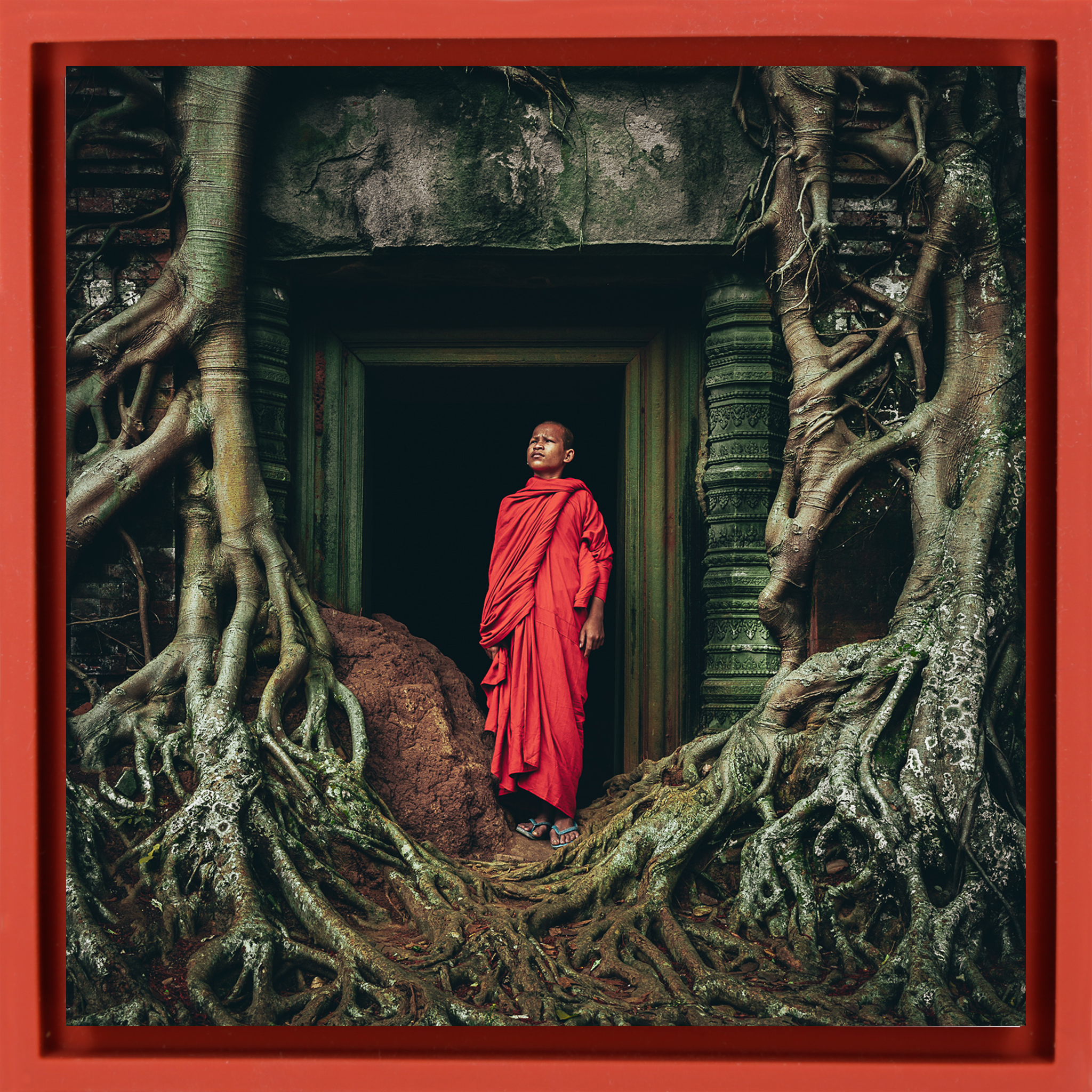 Young Monk In Contemplation - Rode Wrapp
