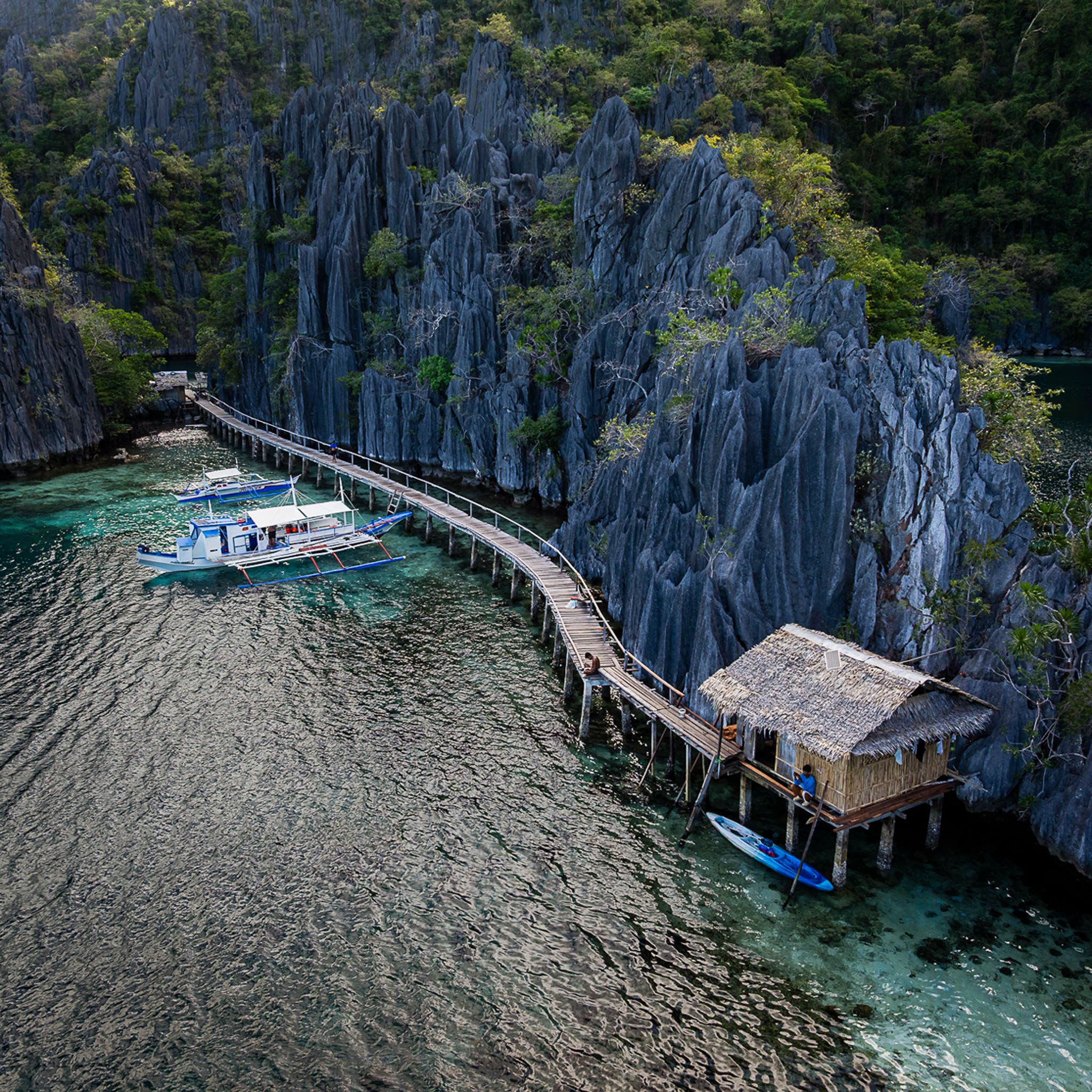 Coron Limestone Labyrinth- Collection: Philippines