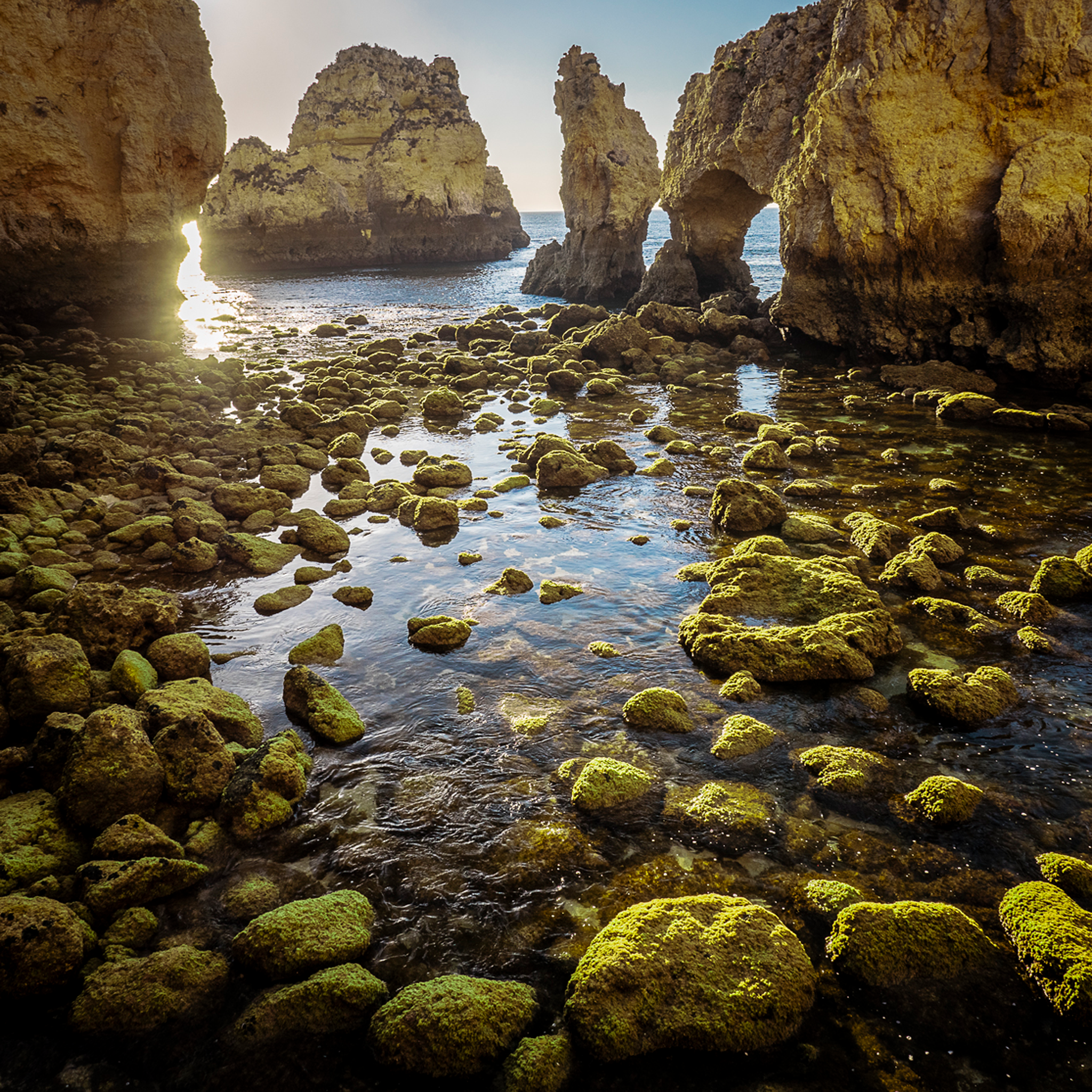 Ponta Da Piedade Dawn- Collection: Portugal