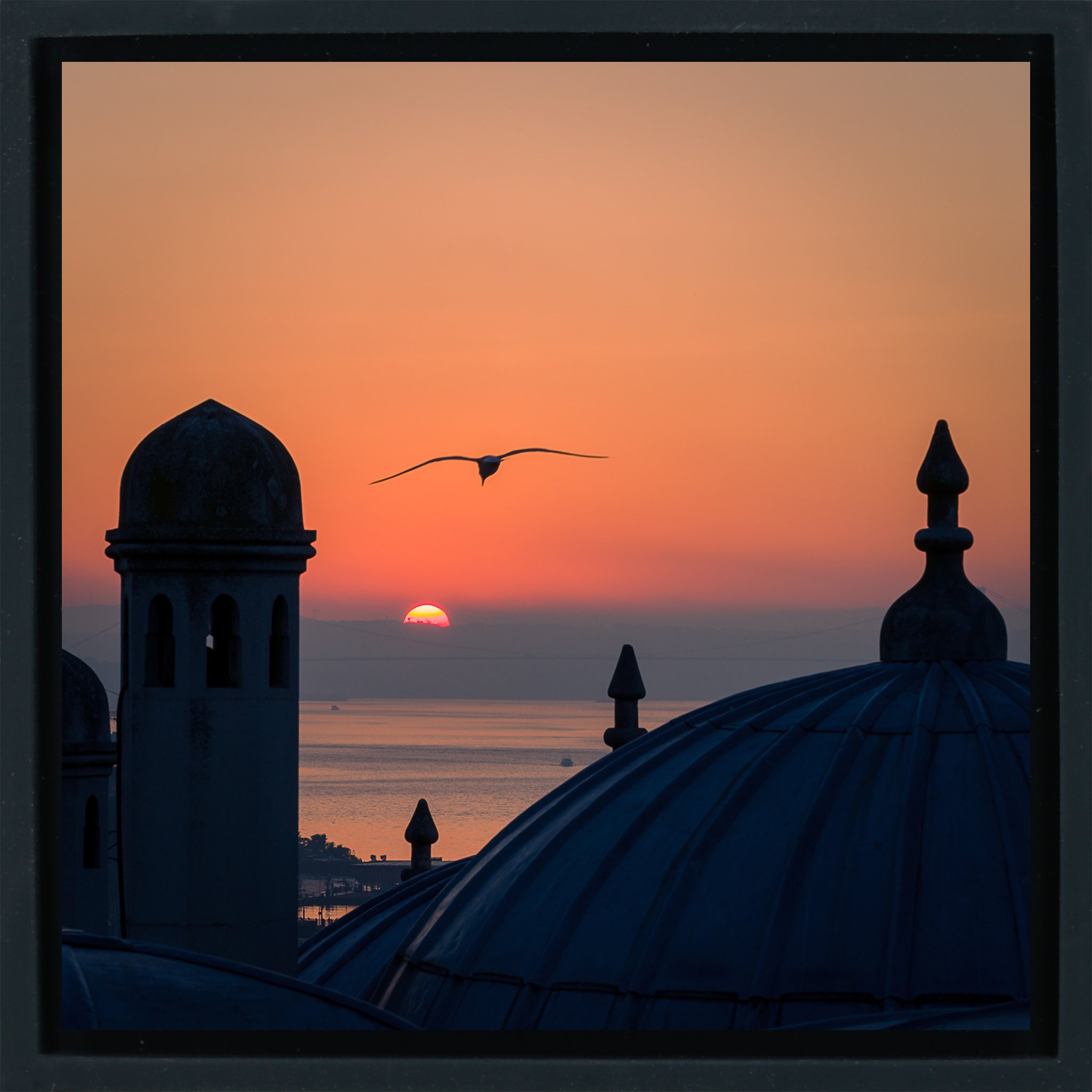 Istanbul - Black Wrap