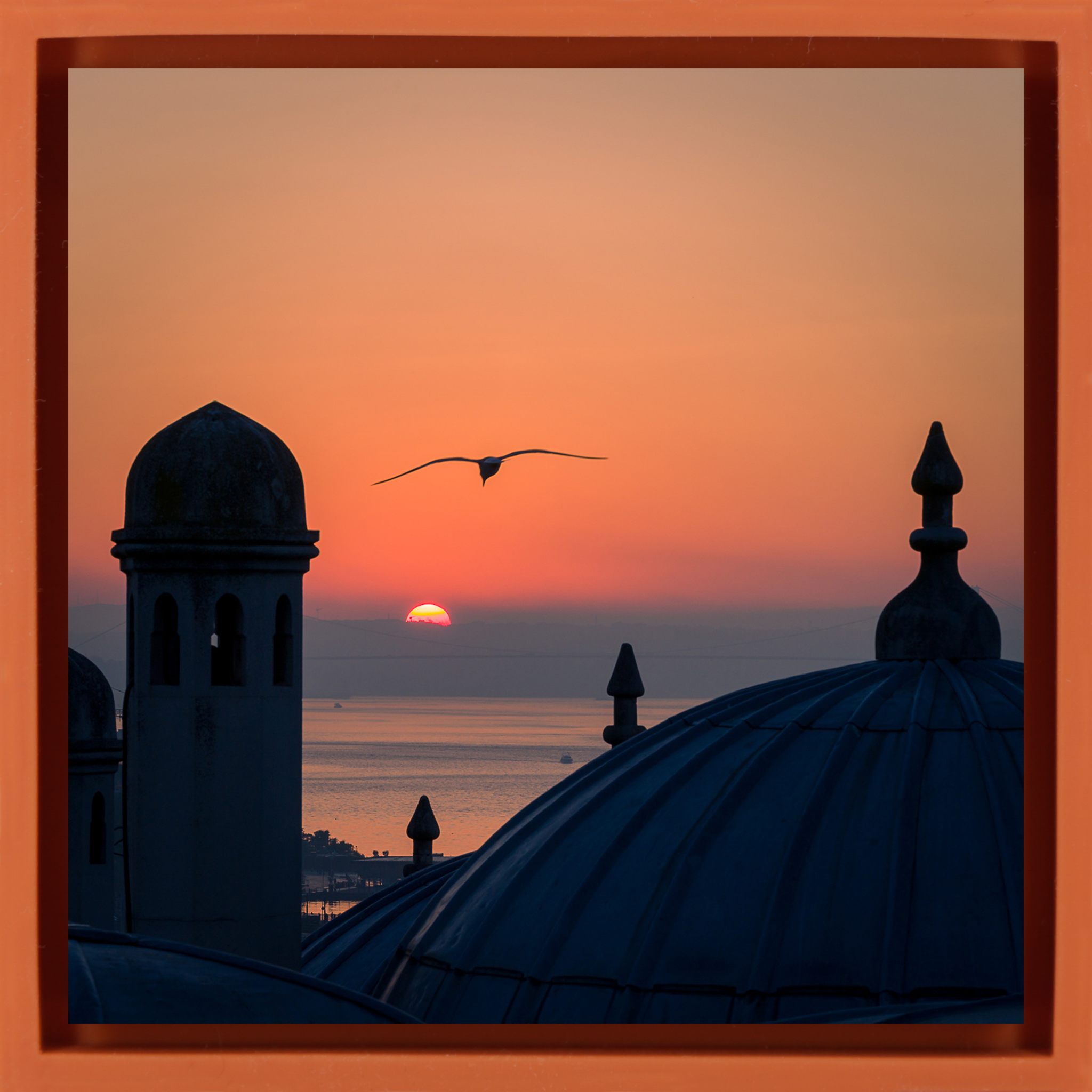 Istanbul - Wrap à l'orange