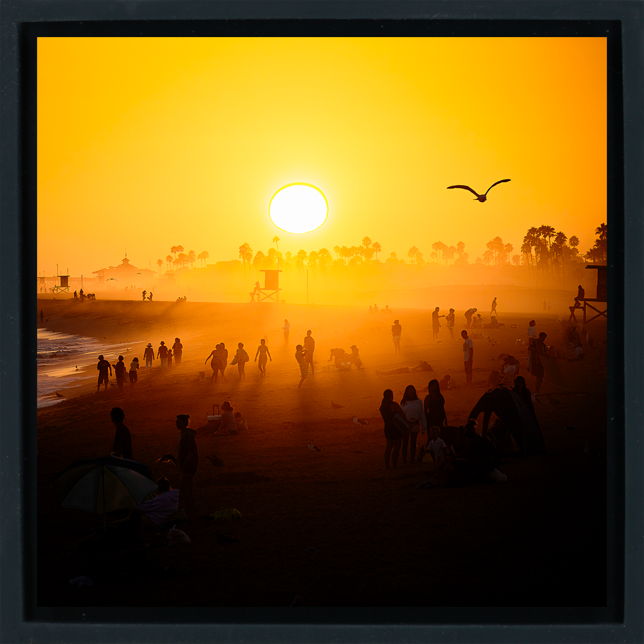Balboa Pier Dreams- Black Wrapp