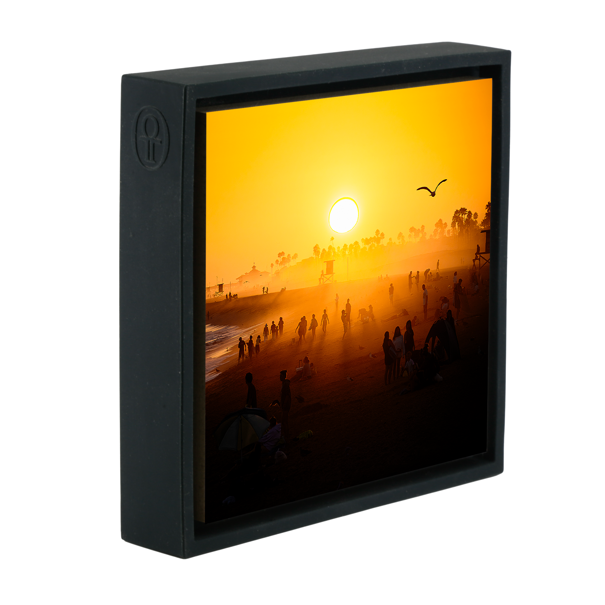Balboa Pier Dreams- Black Wrapp