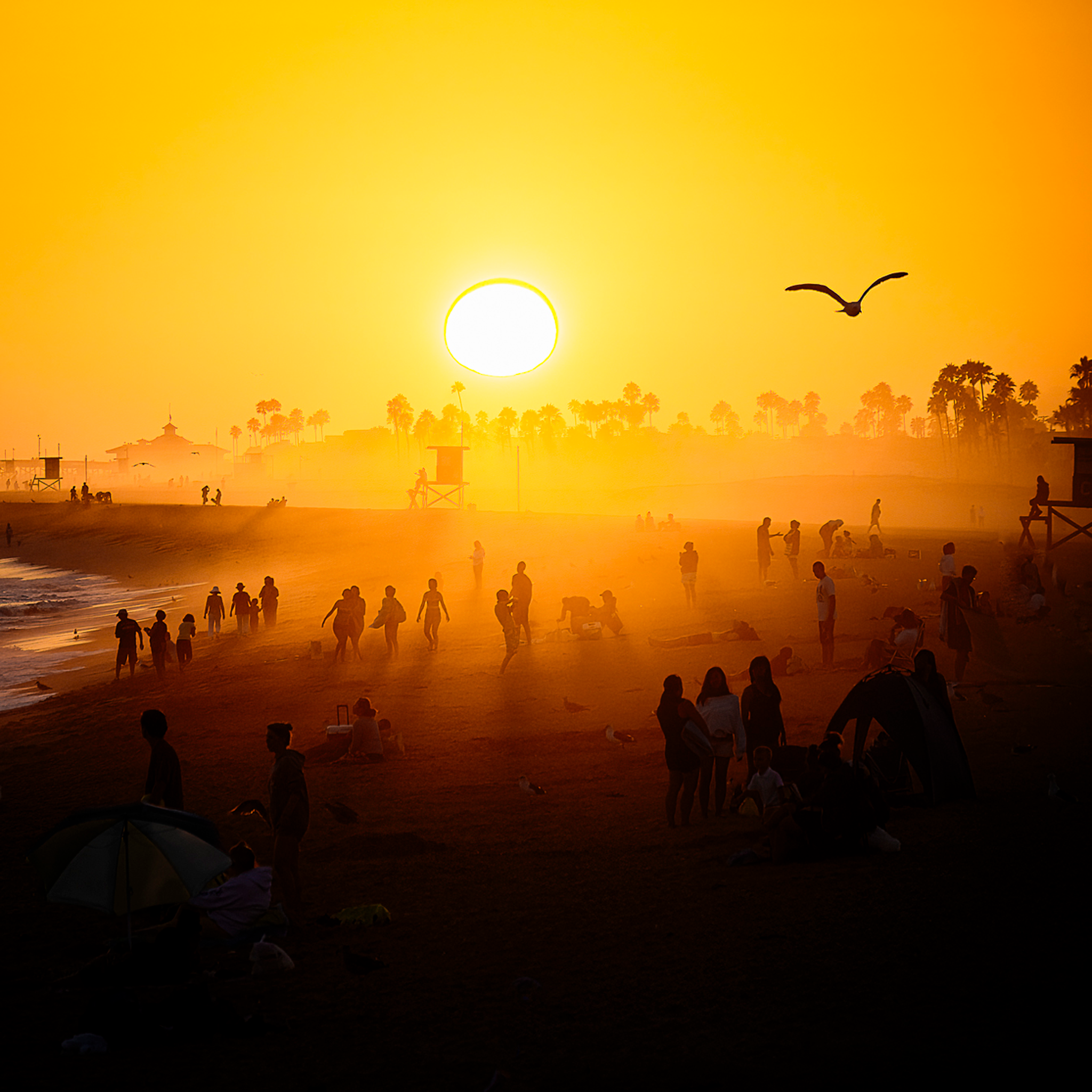 Balboa Pier Dreams- Collection: USA
