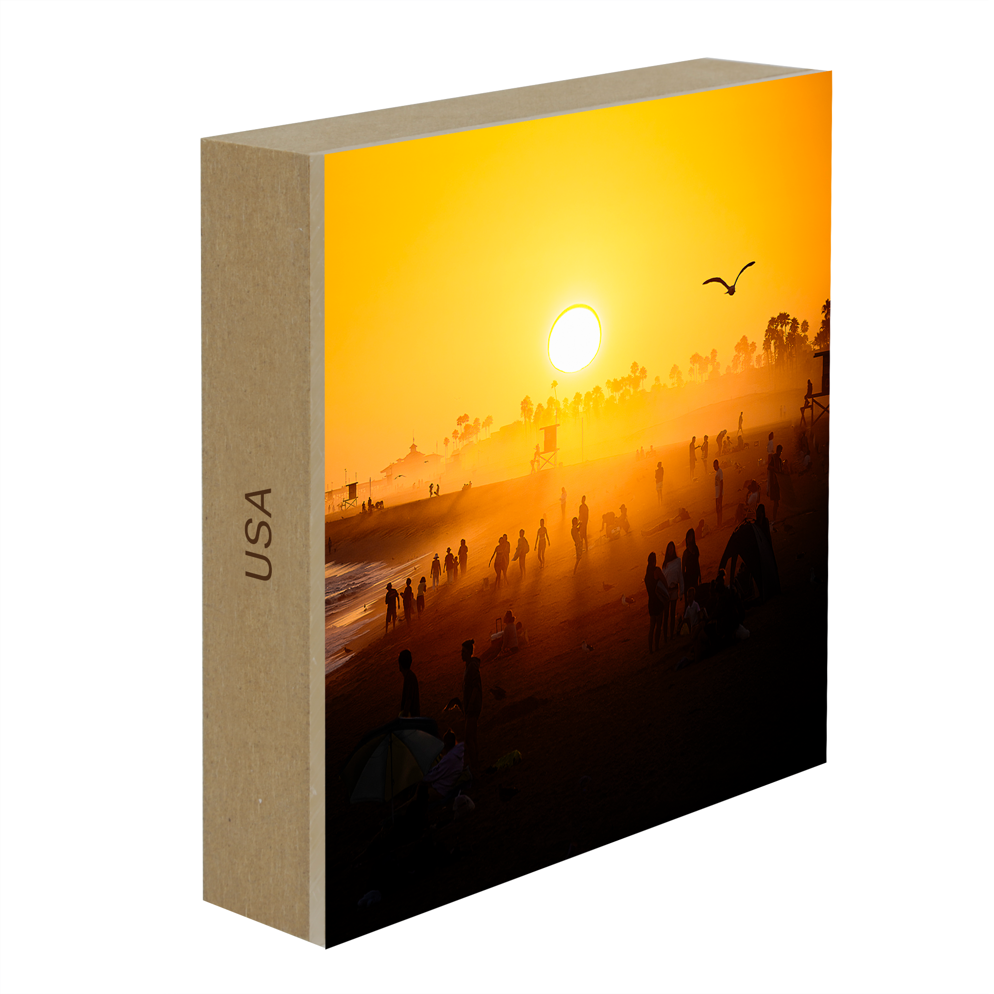 Balboa Pier Dreams- Collection: USA