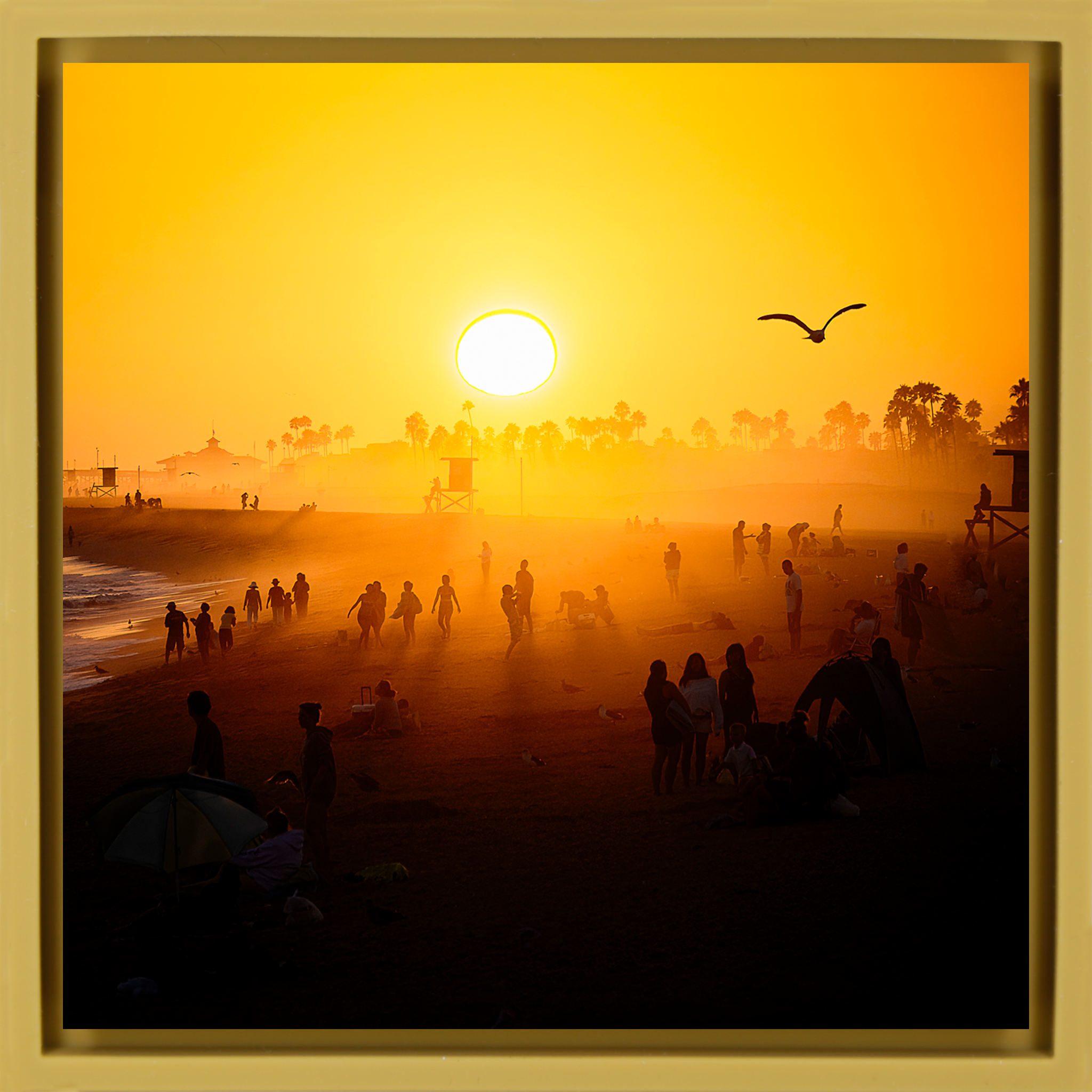 Balboa Pier Dreams- Ochre Wrapp