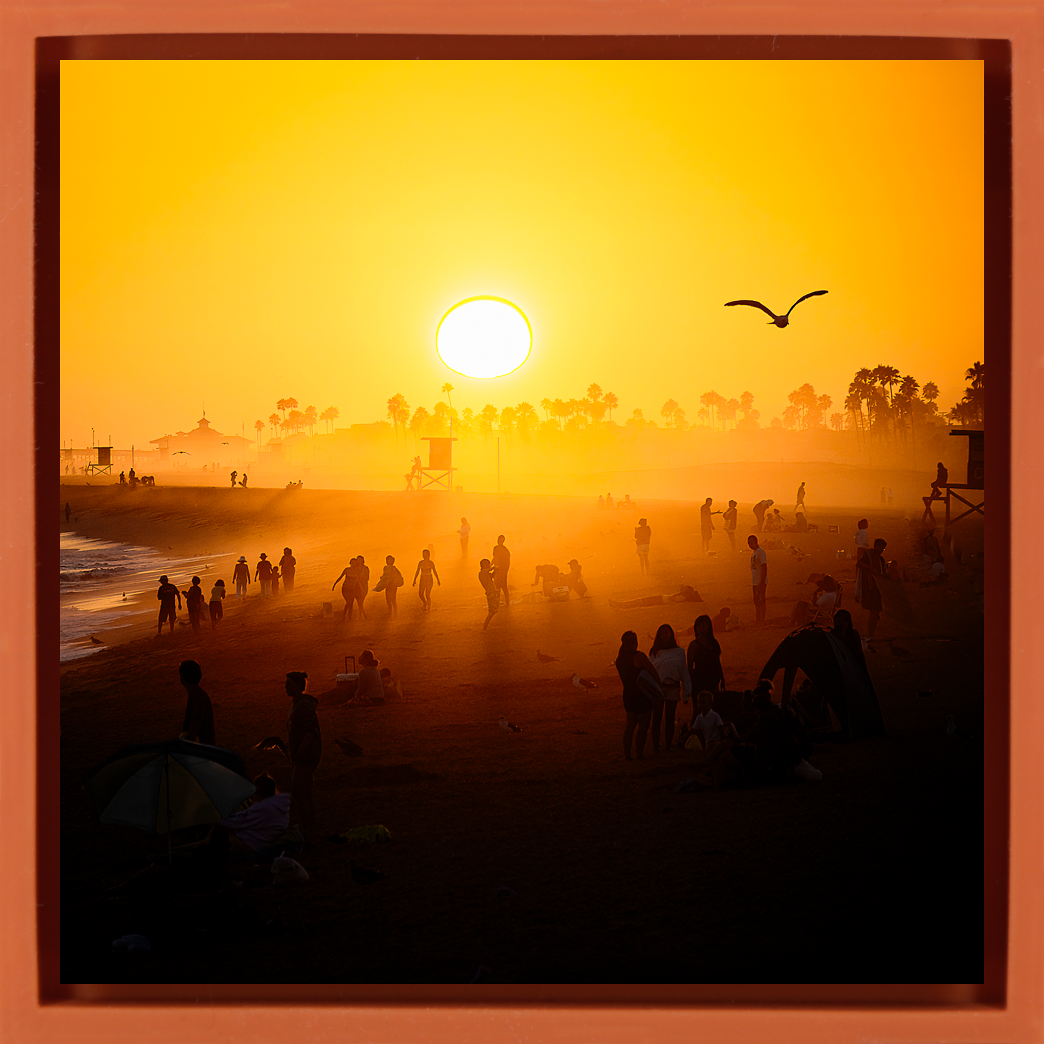Balboa Pier Dreams- Orange Wrapp