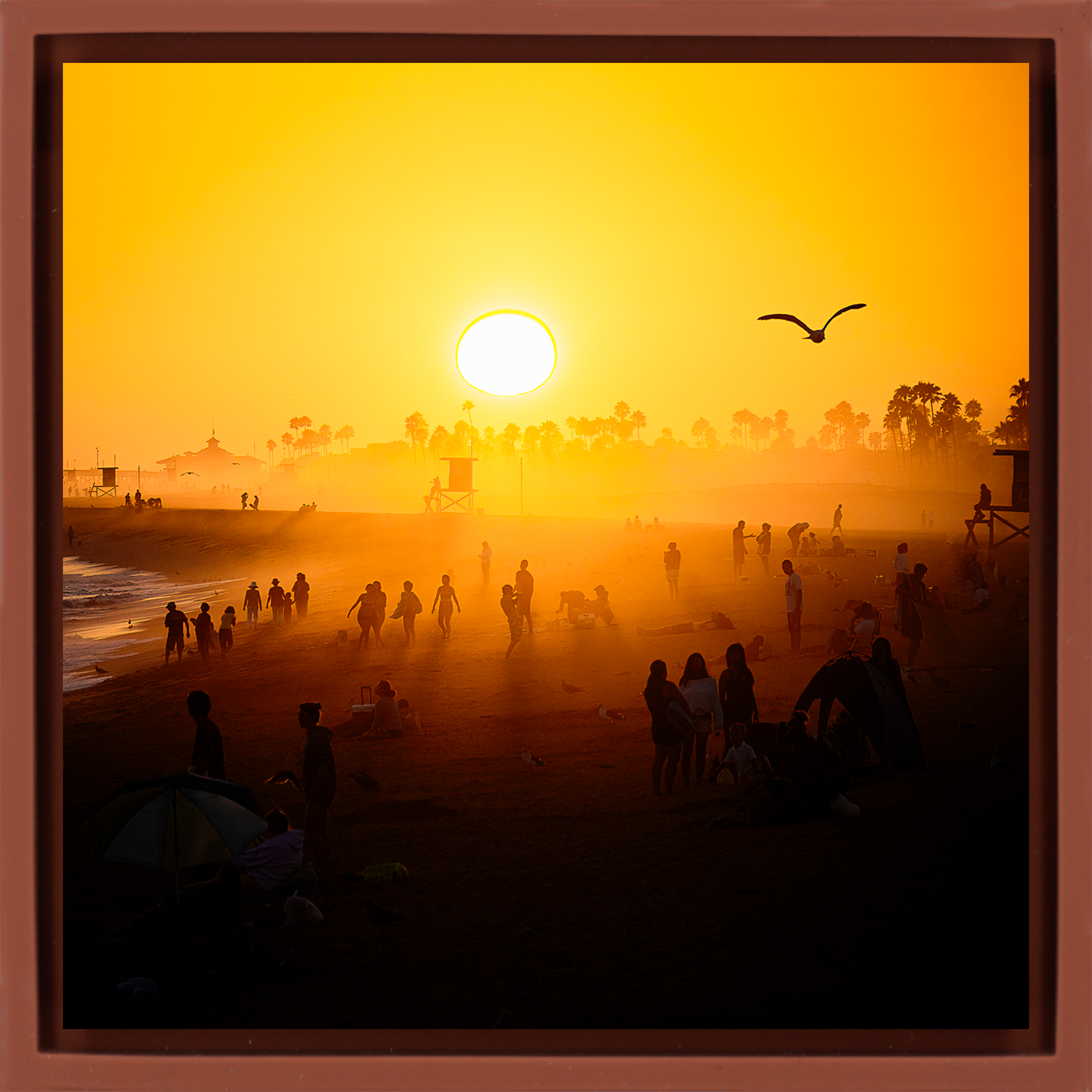 Balboa Pier Dreams- Terra Wrapp