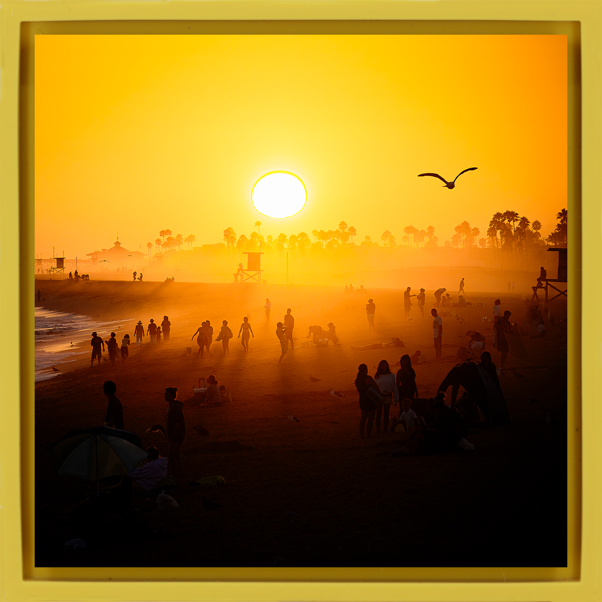 Balboa Pier Dreams- Yellow Wrapp