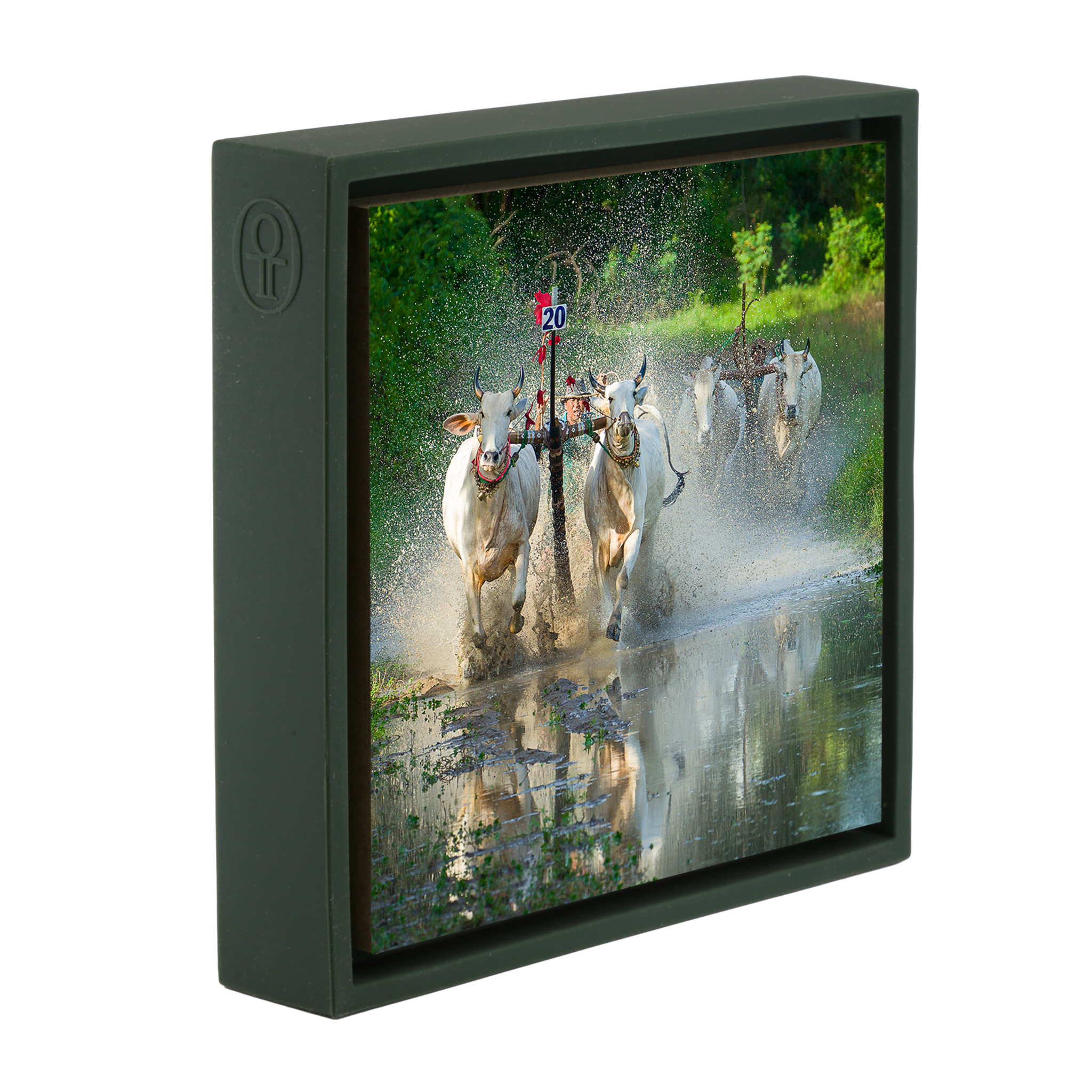 Water Buffalo Racing - Donkergroene Wrapp