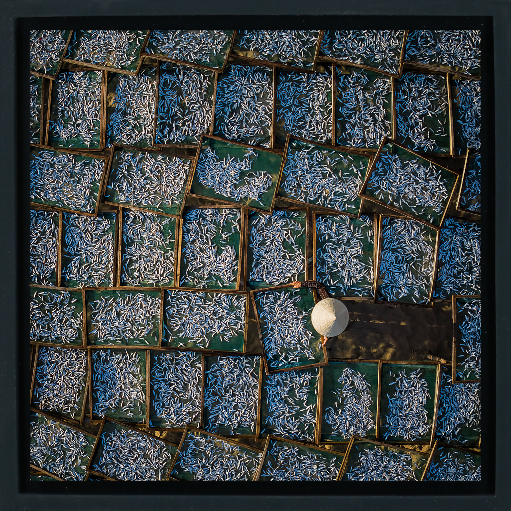 Silver Harvest - Zwarte Wrapp