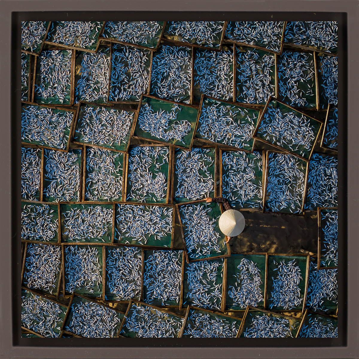 Silver Harvest