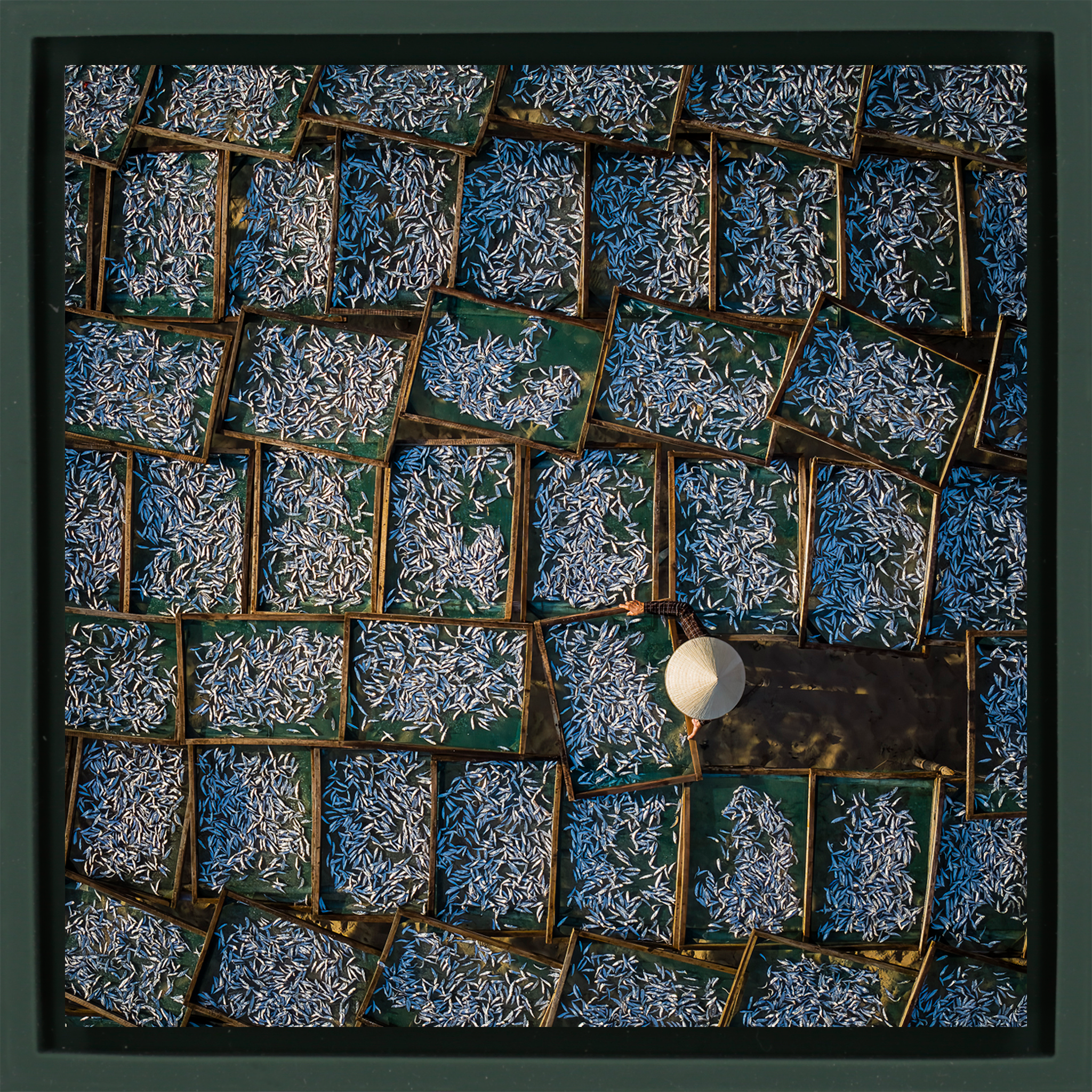 Silver Harvest - Donkergroene Wrapp