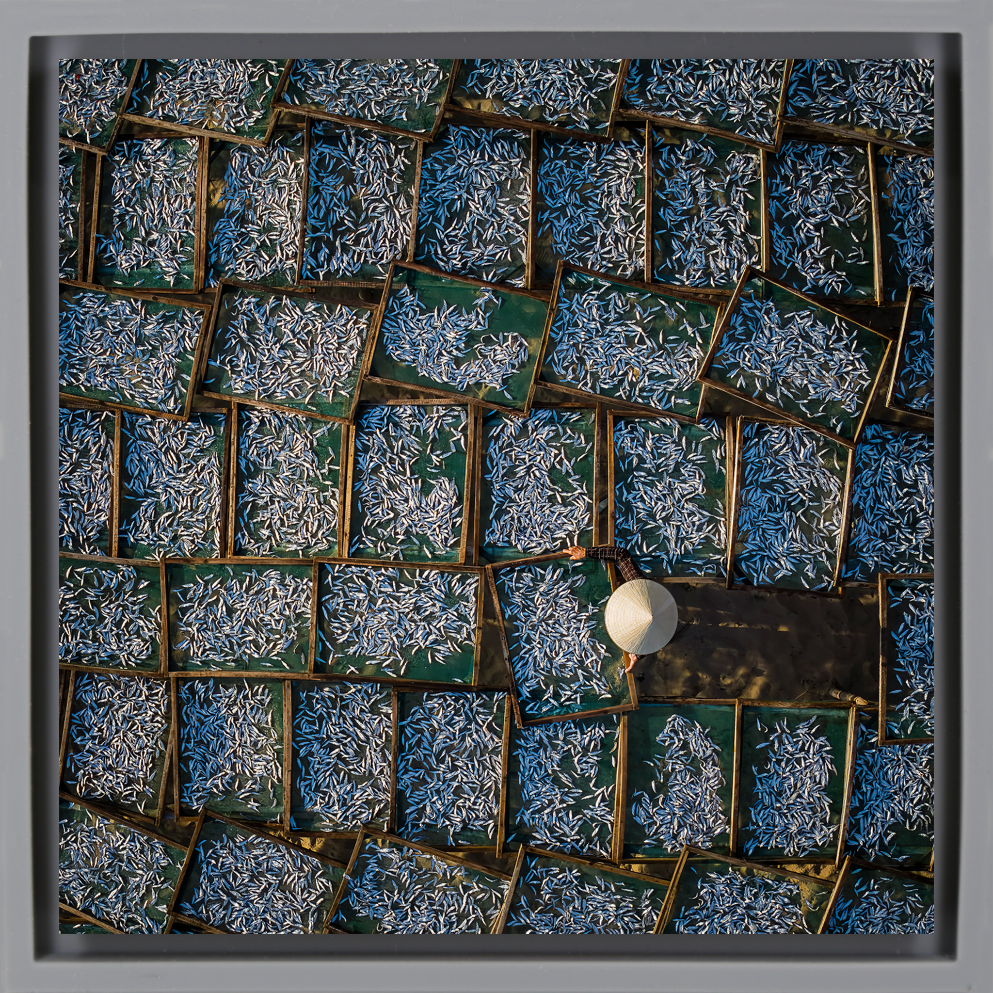 Silver Harvest - Grijze Wrapp